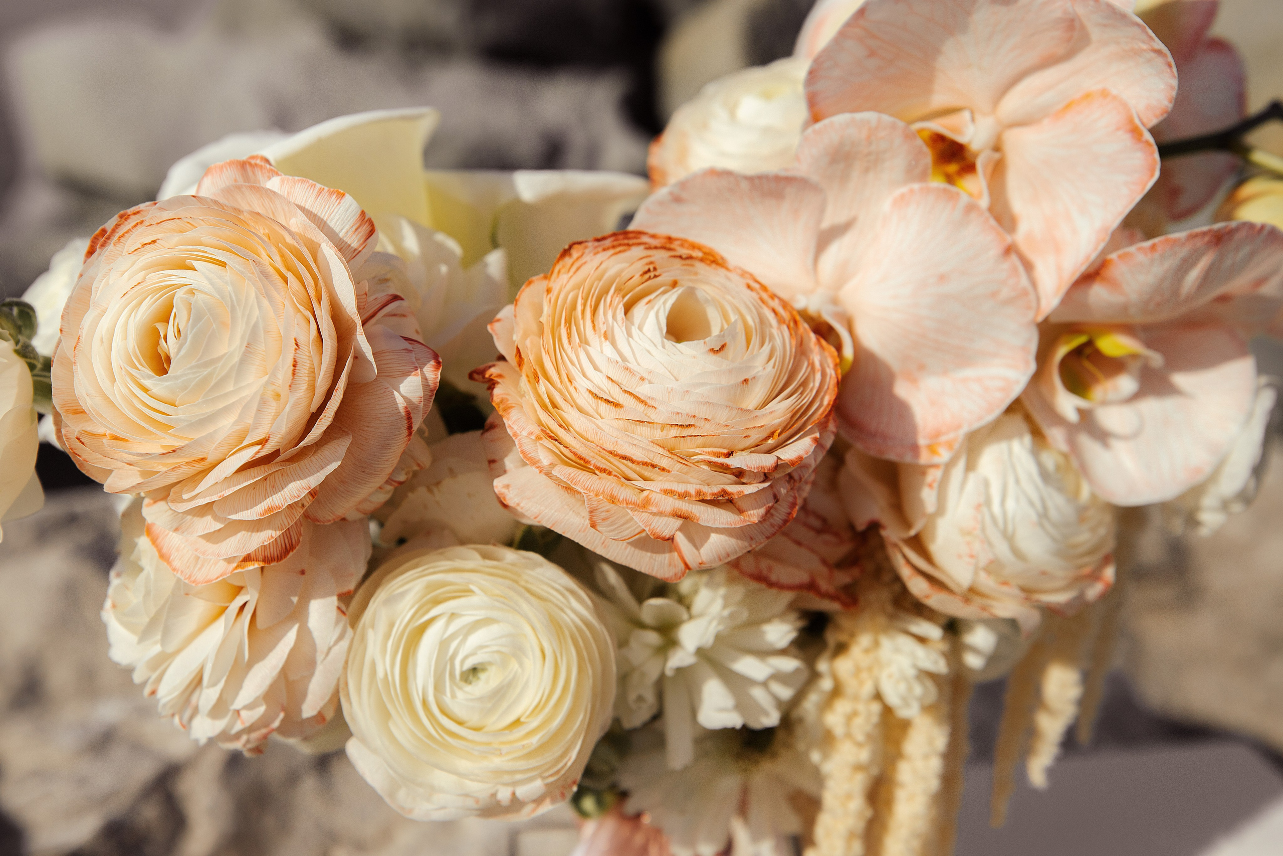 Александра и Александр. Свадебный фотограф Ростов-на-Дону Виолетта veslers.ph