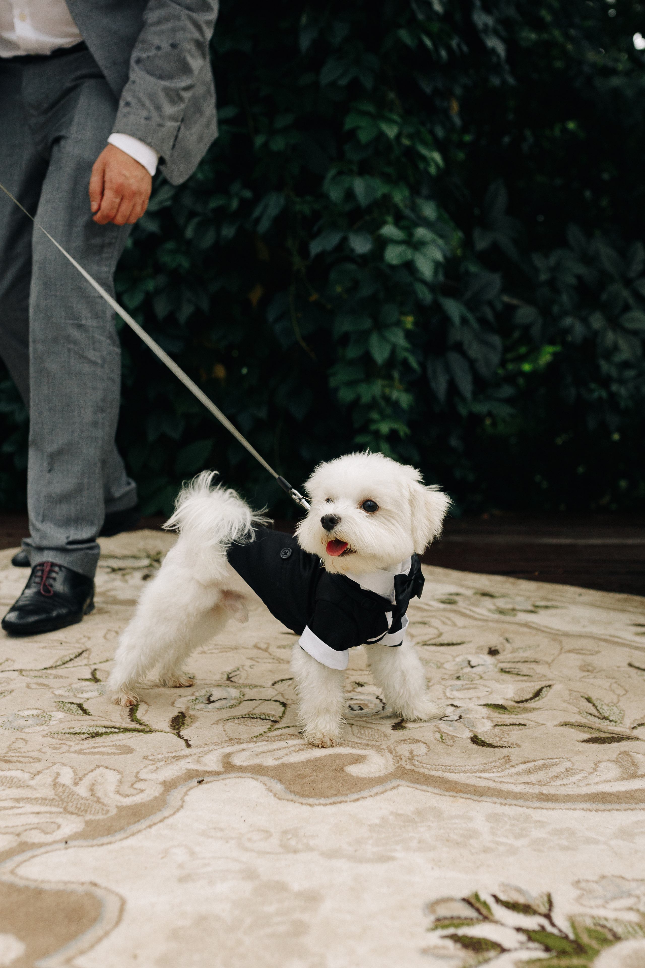 Мария и Никита. Фотограф Олег Коровяков