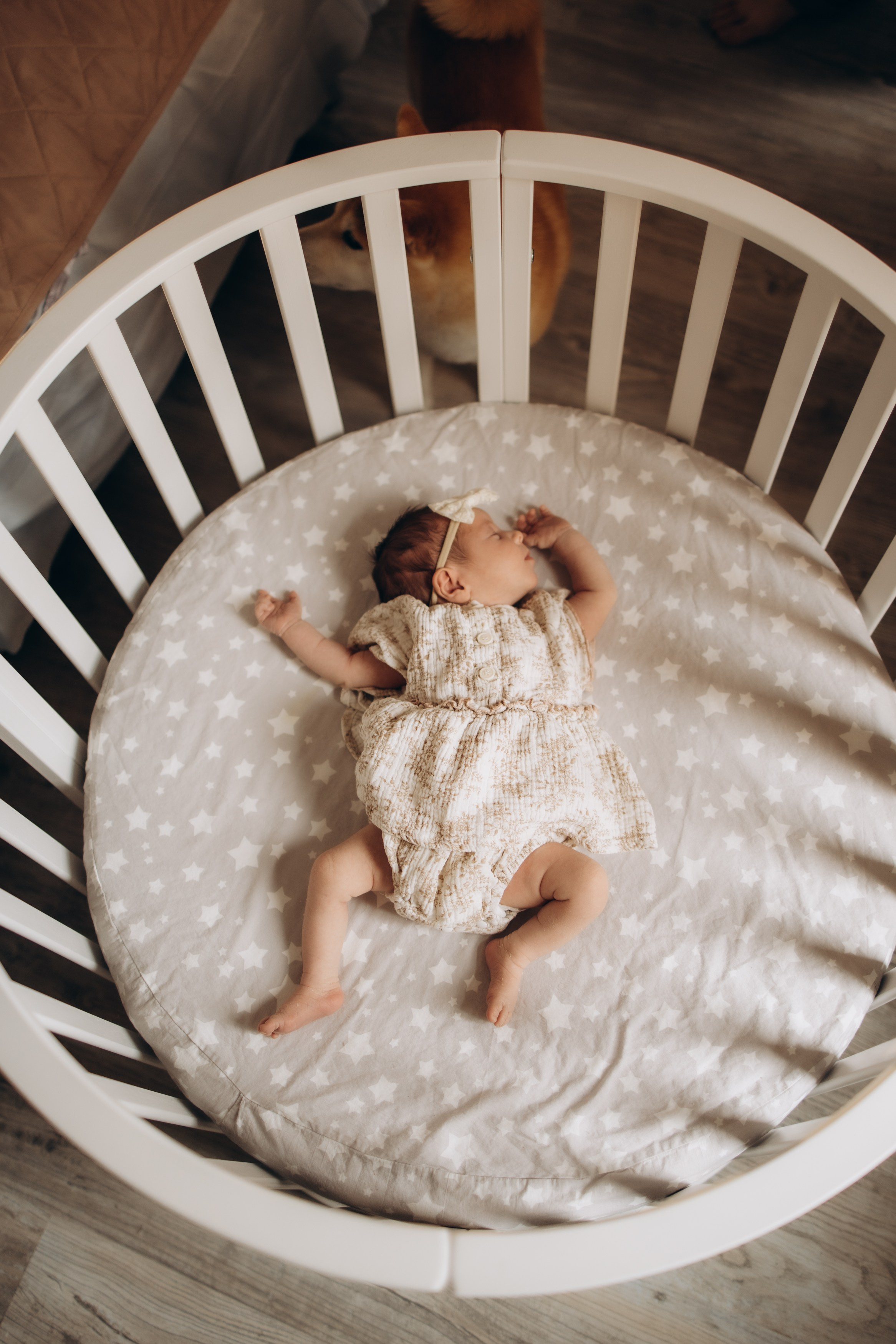 Малышка Луна. Семейный, ньюборн newborn фотограф, фотограф новорождённых в Санкт-Петербурге, Пушкине, Павловске. Павлова Анастасия