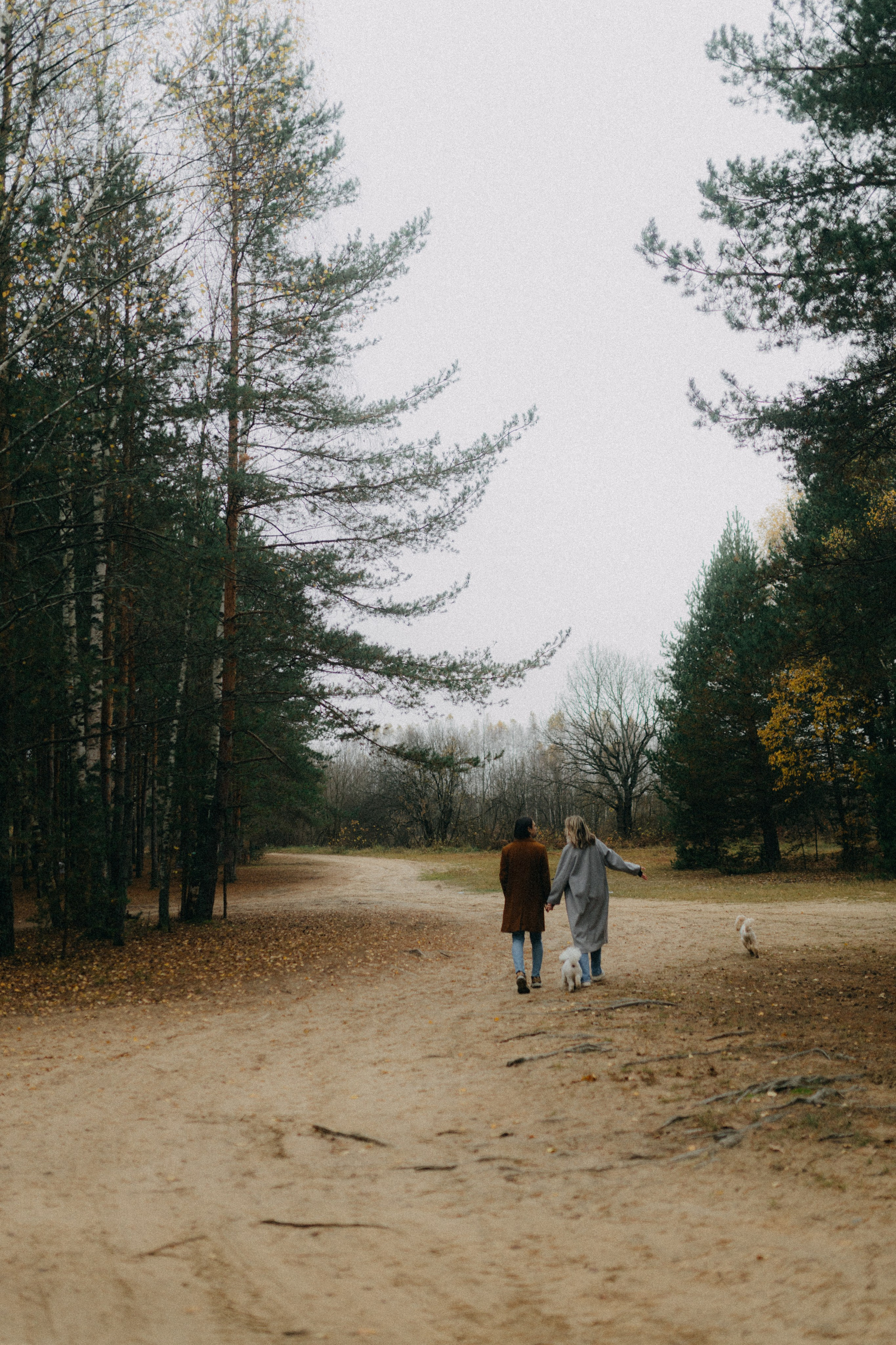 Лена & Миша. Фотограф НОГИНСК, Москва, Анастасия Белая