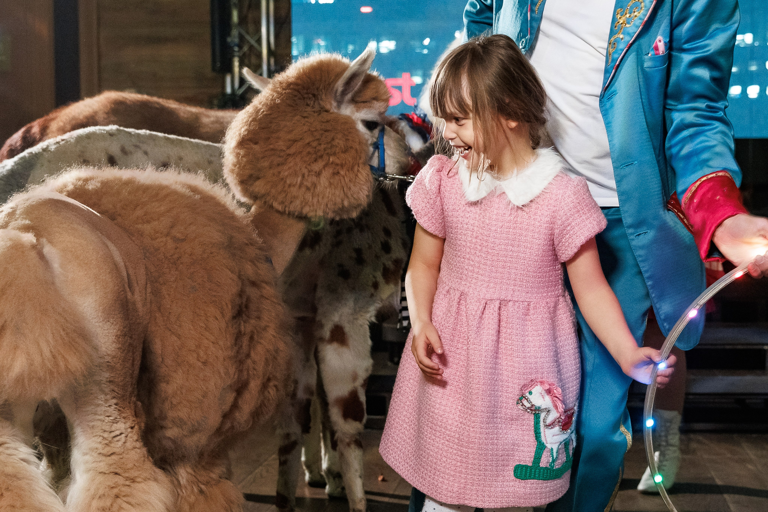 Лама и Альпака