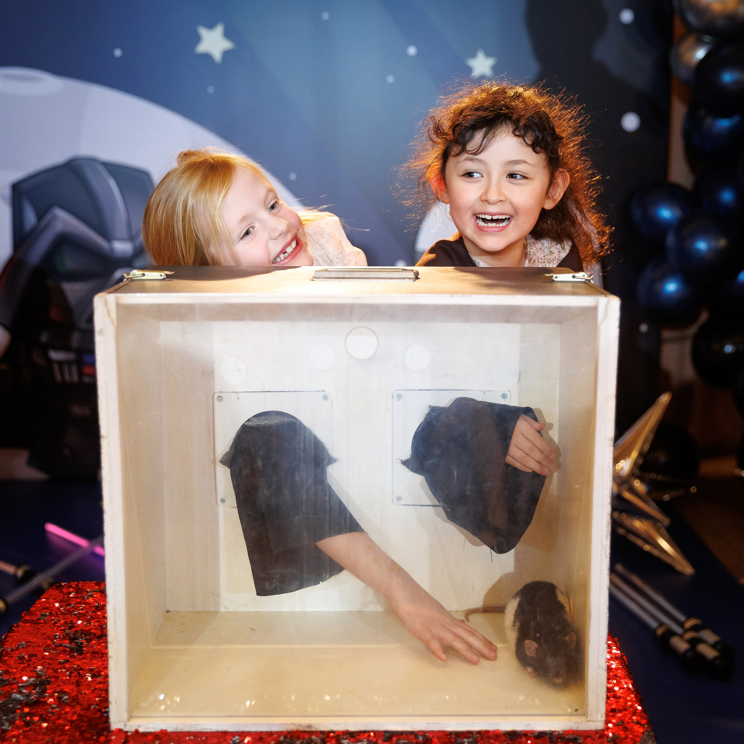 Фотограф на детское день рождения. Москва и Московская область