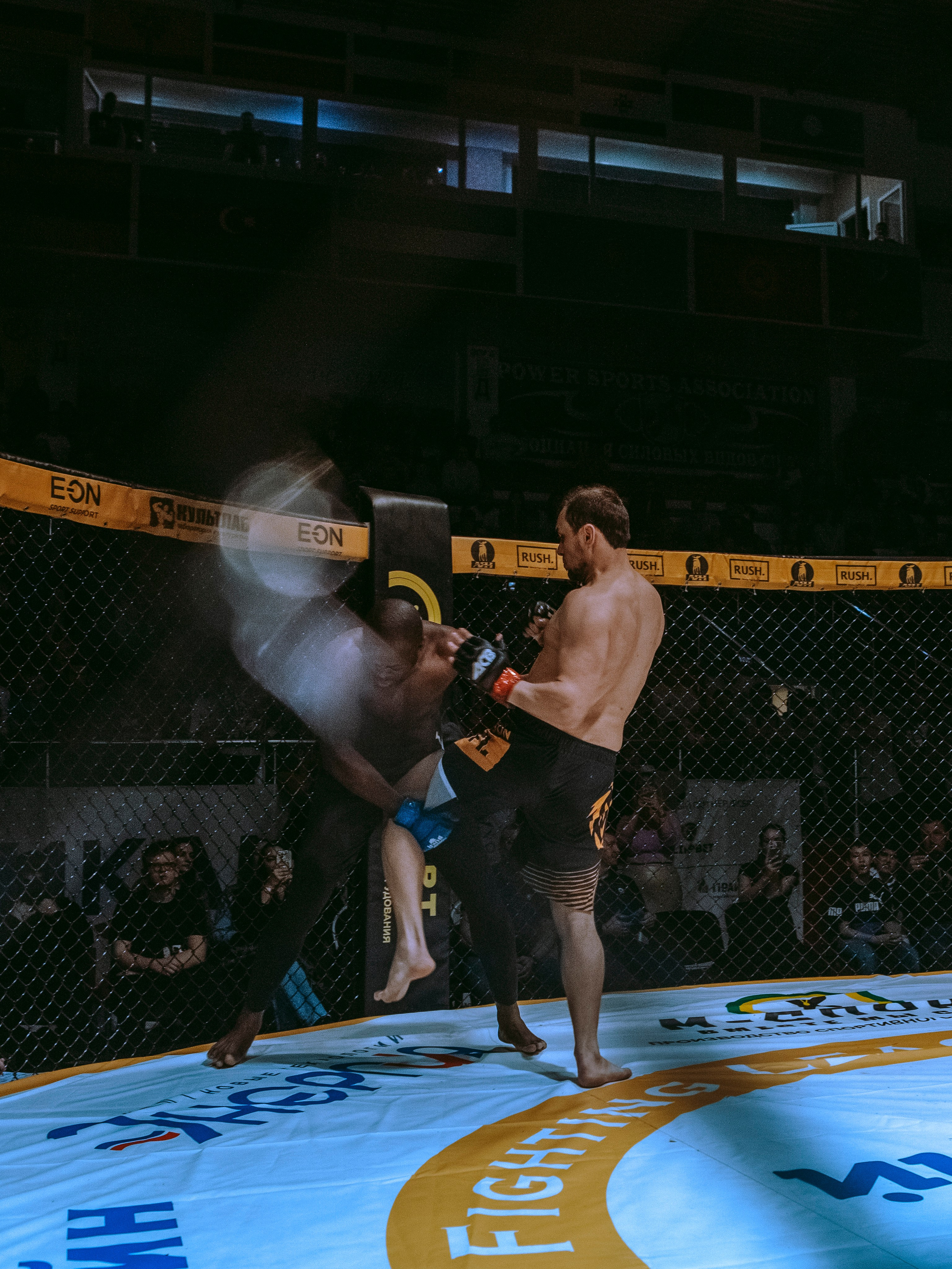 SFL 17 | Siberian Fighting League. Портретный фотограф в Москве Дарья Цезария