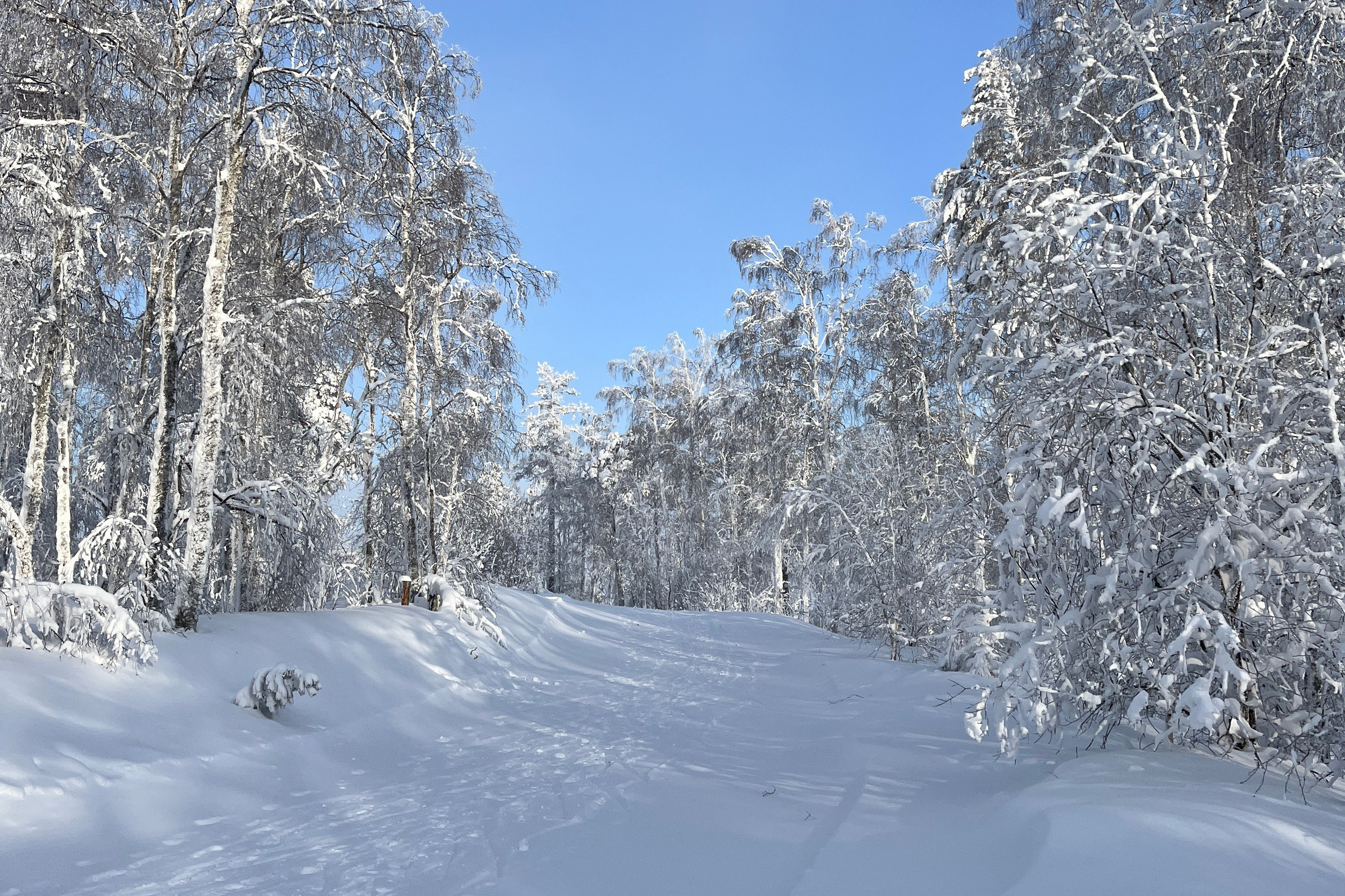 Горнолыжный тур в ГК Завьялиха из Уфы — Время Приключений