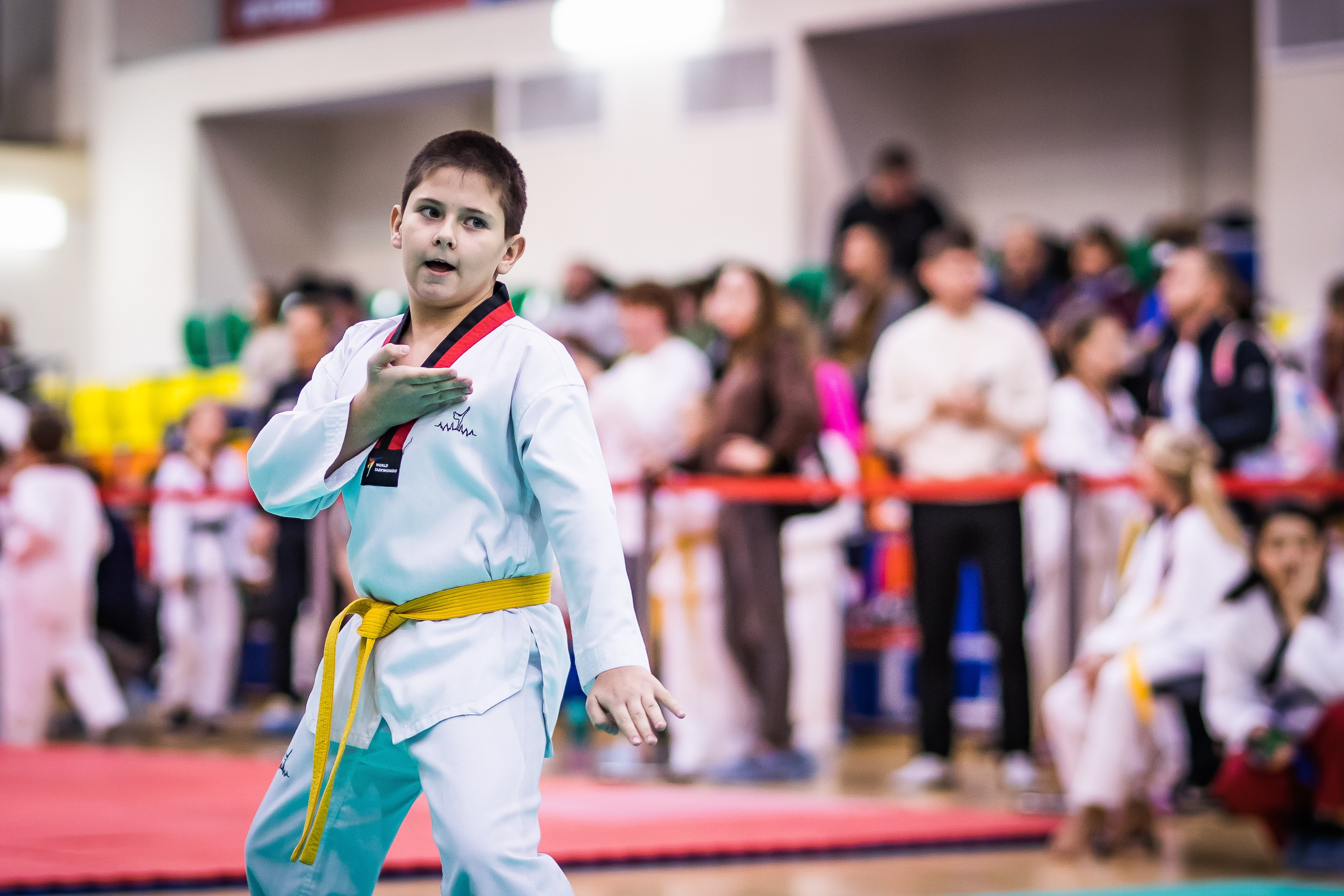 Турнир Федерации детского тхэквондо России по дисциплине ПХУМСЭ. Спортивный фотограф Максим Серегин
