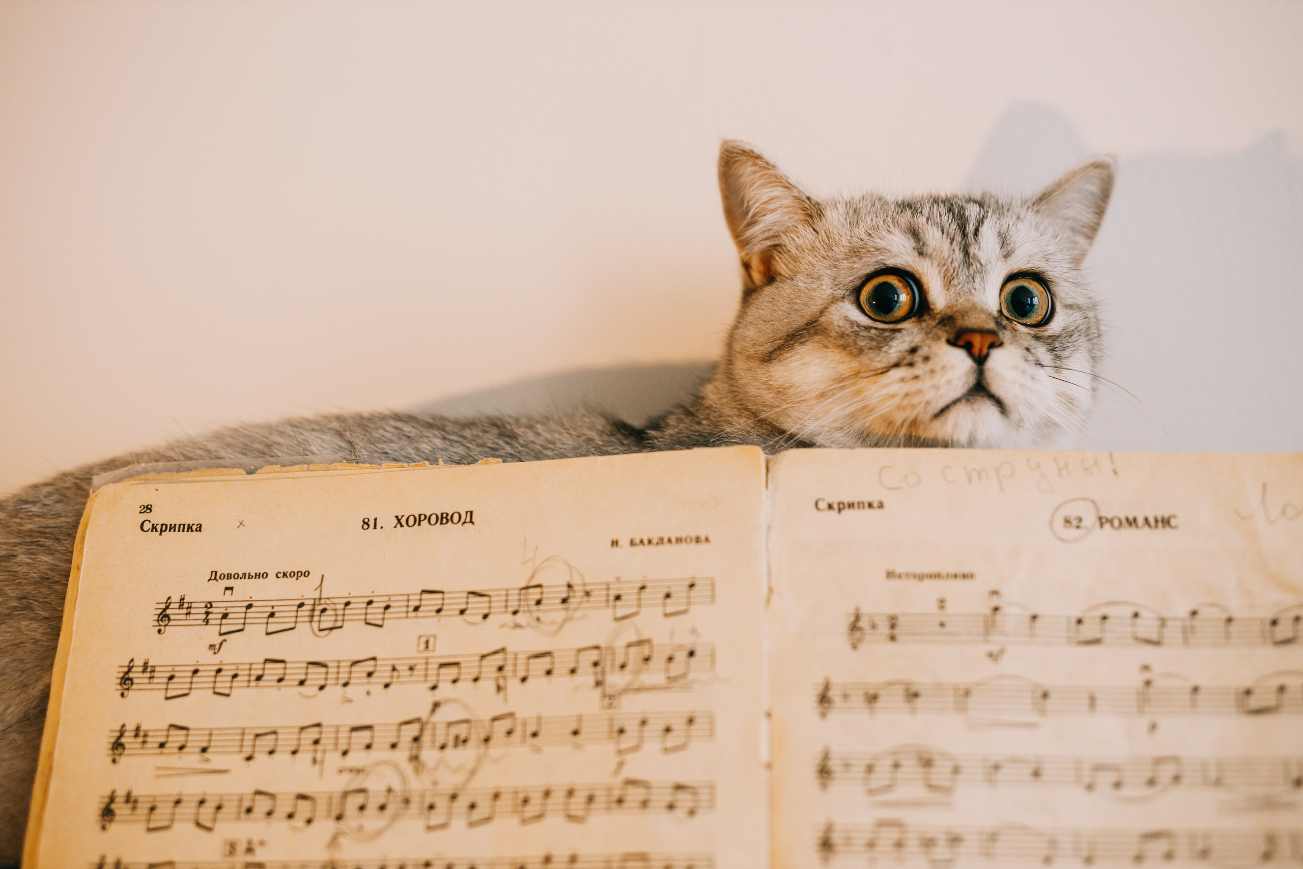 Съёмка дома. Дмитрий Мартьянов семейный фотограф в Санкт-Петербурге