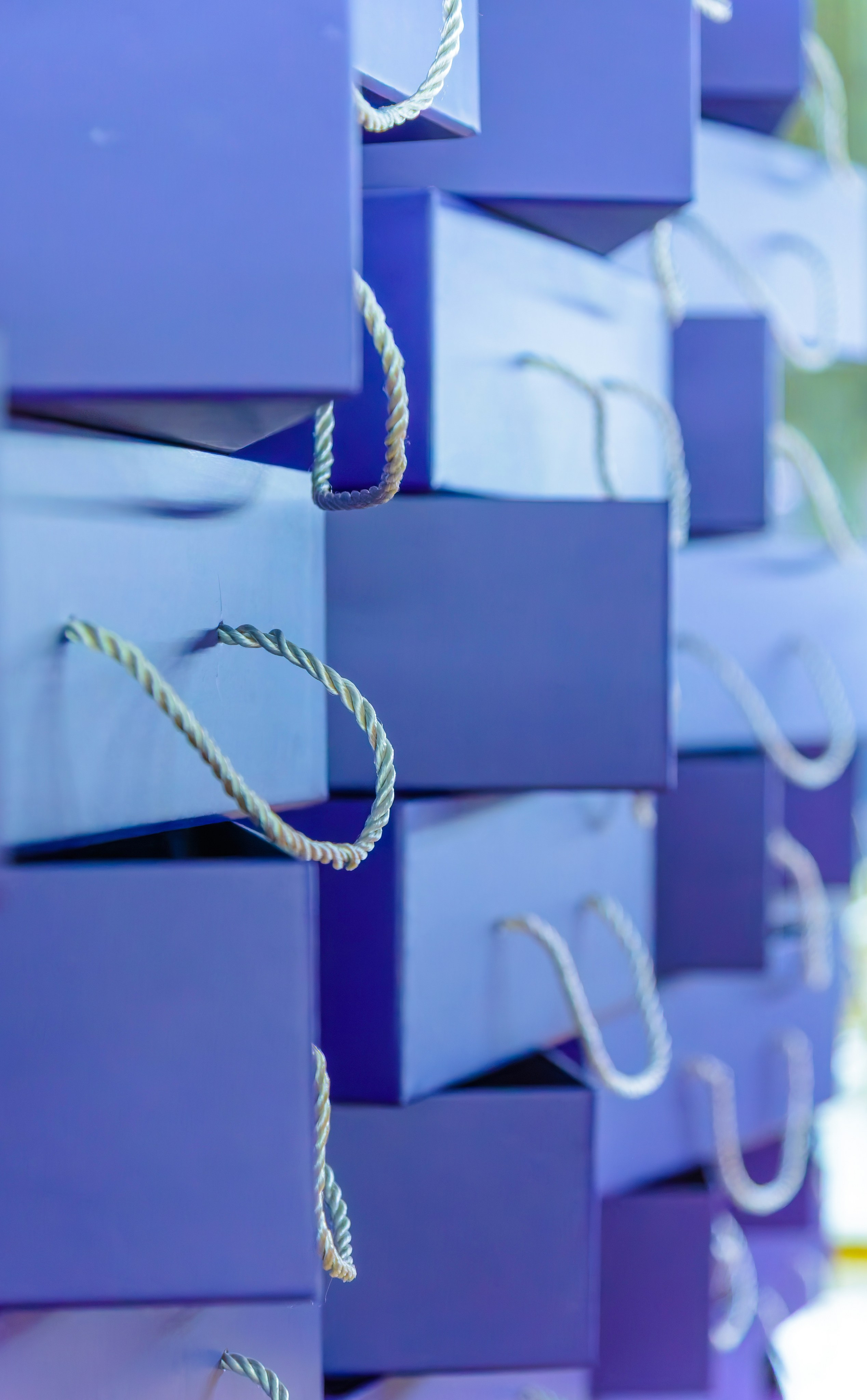 Производственные цеха компании «Маркетри». Fotolux