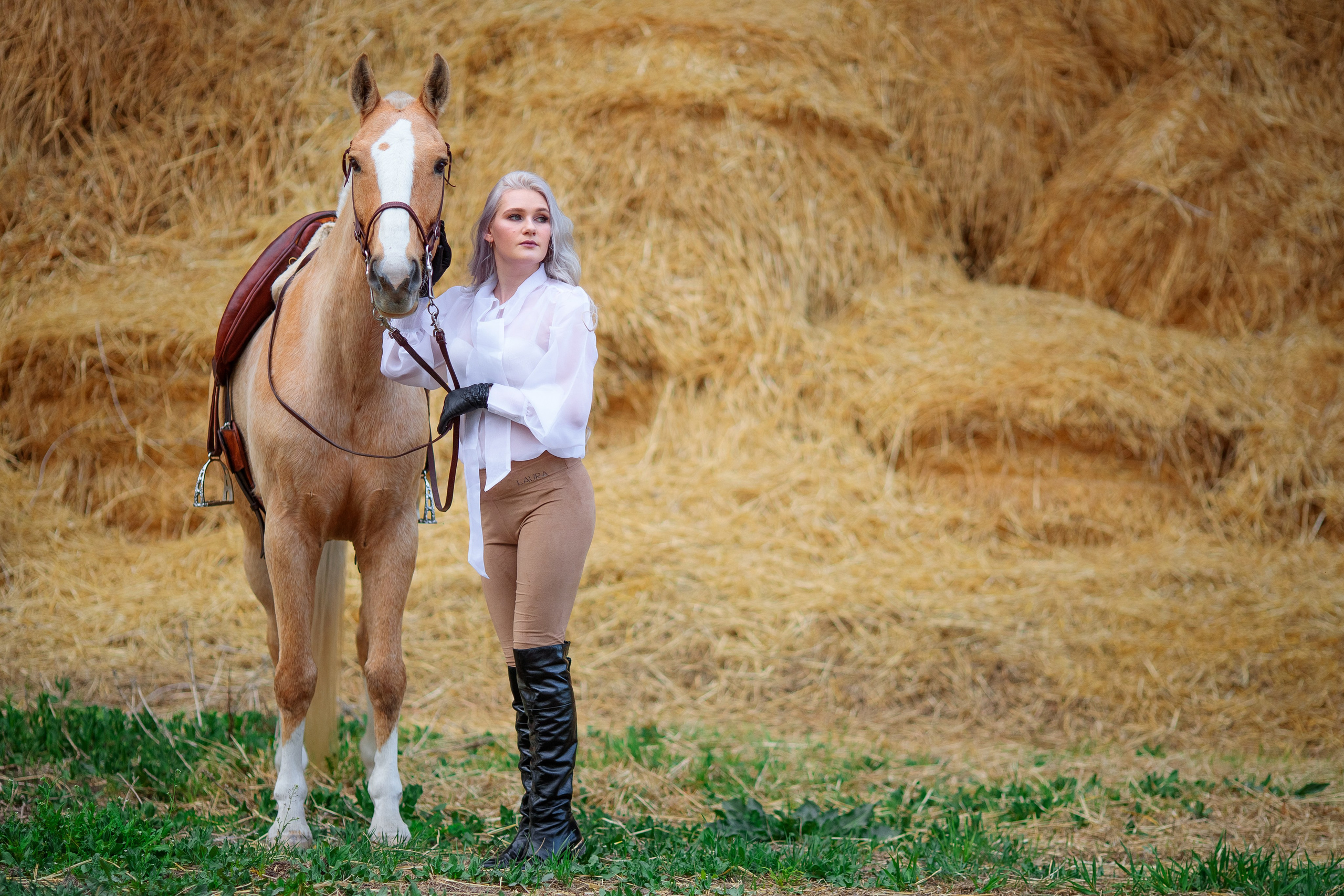 LoveStory с лошадью в Алматы. Свадебный и семейный фотограф в Алматы Алексей Балышев