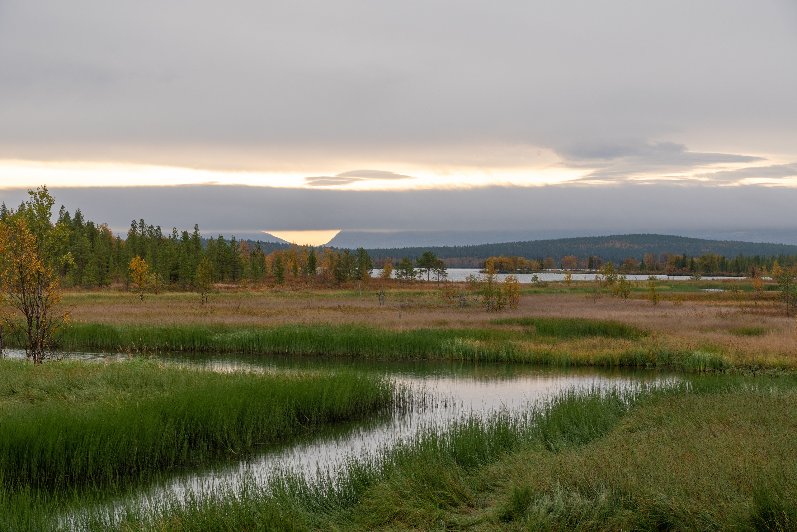 Золотая осень в Хибинах. Daria wanderer photography
