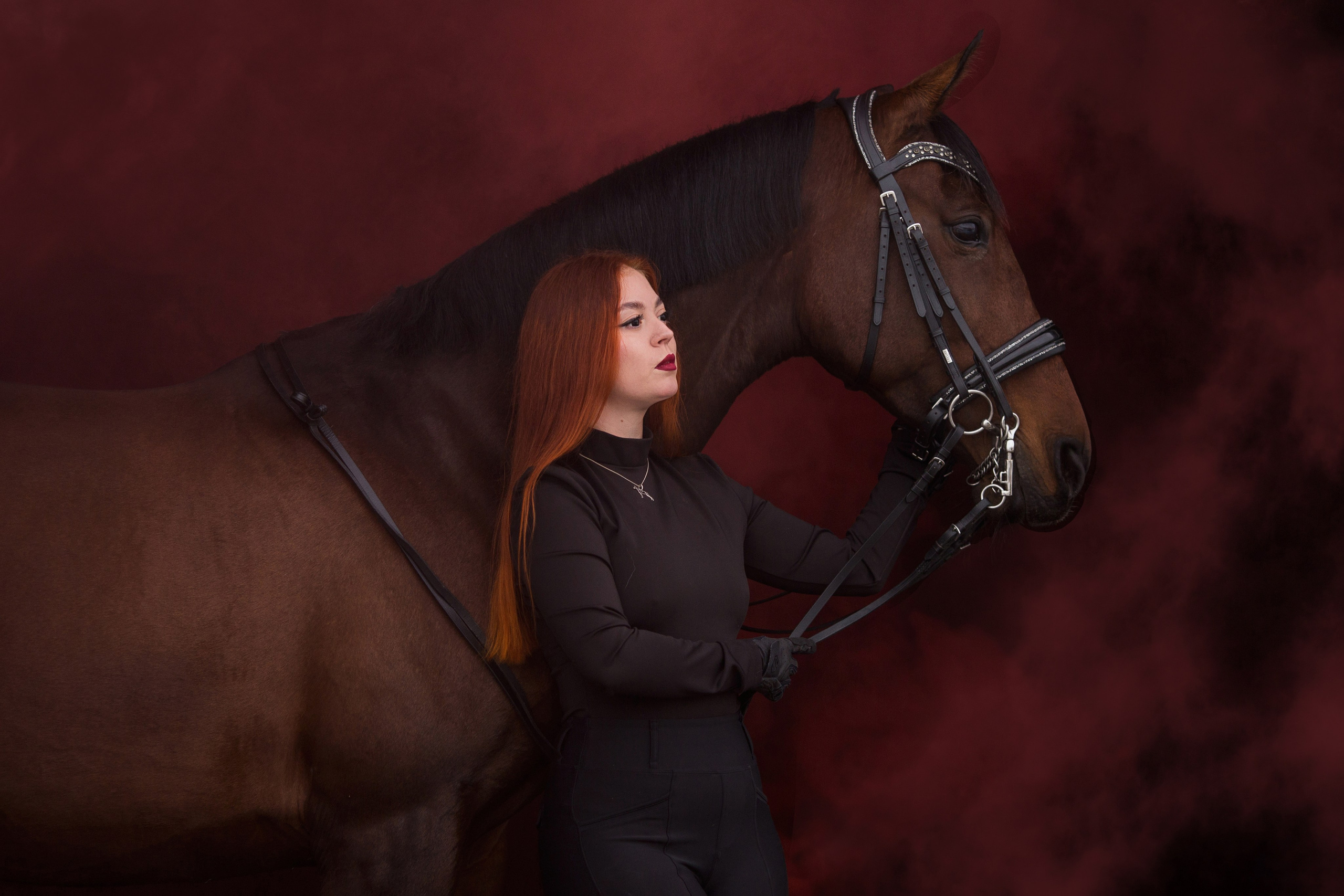 Фотосессия с лошадью в конюшне