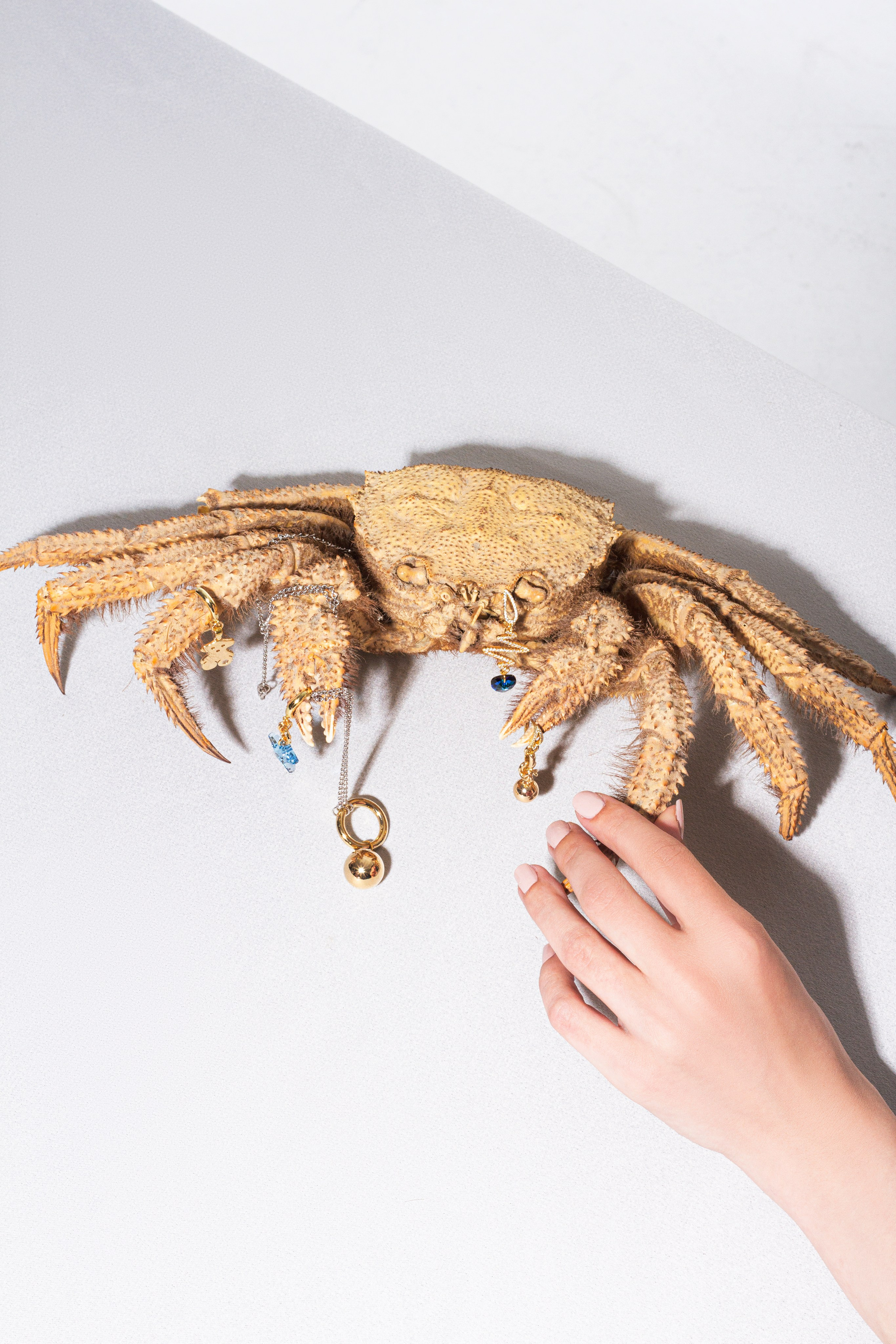 Бижутерия. Концептуальный фотограф Шлыкова Ольга