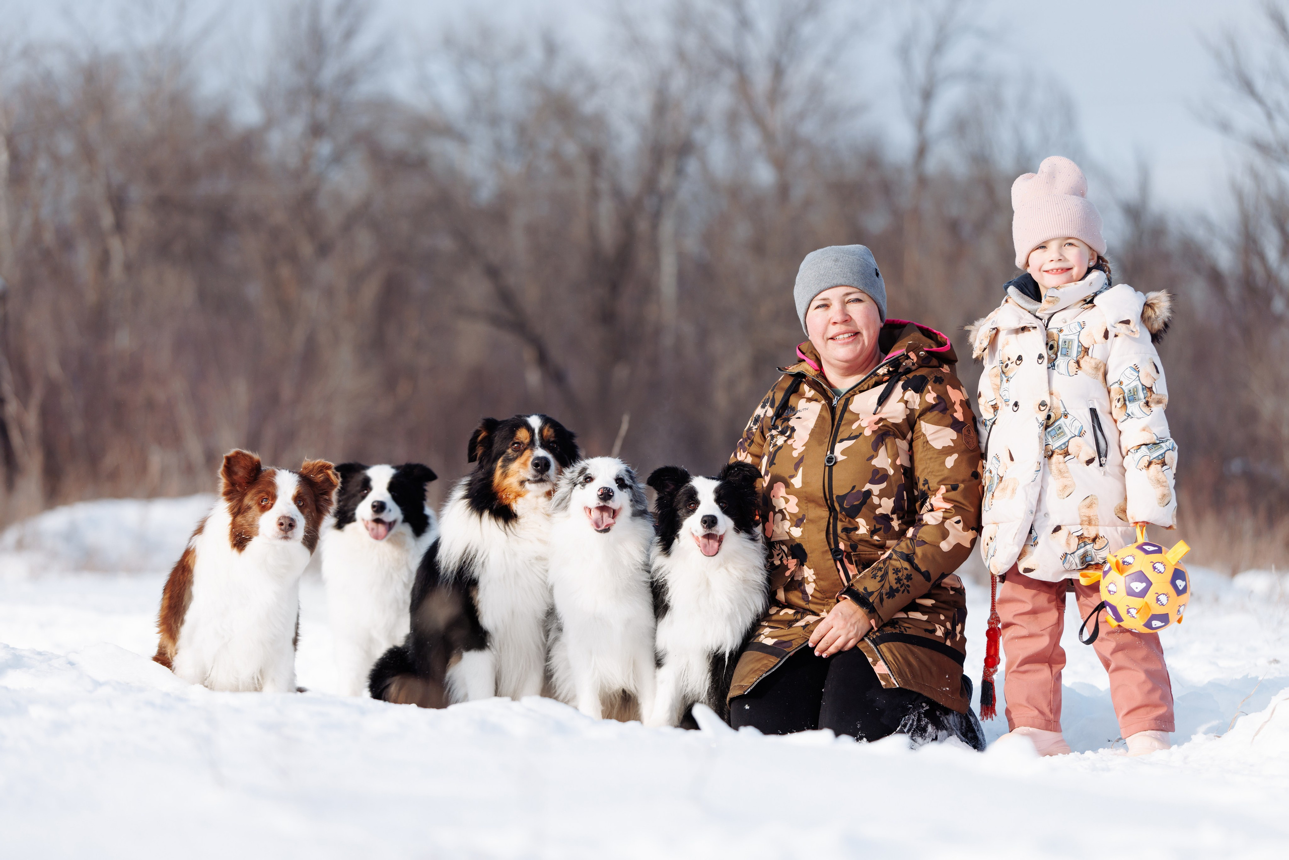 Яркий январь. О нас