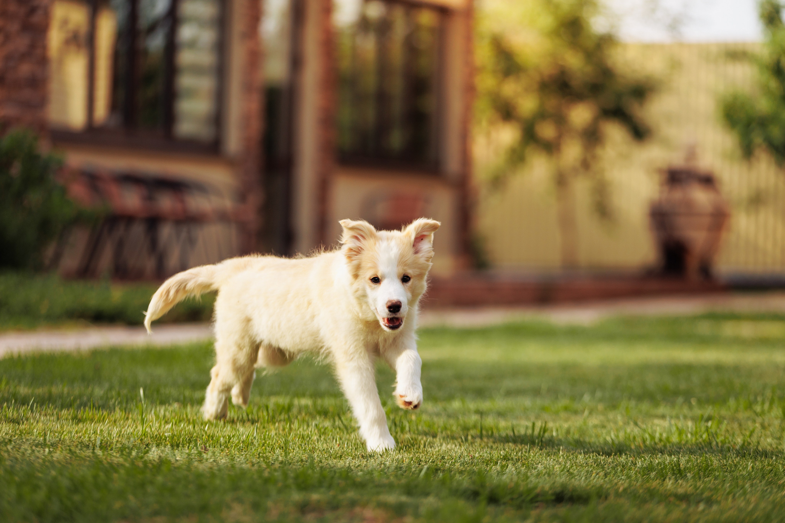 СОлнечные. О нас