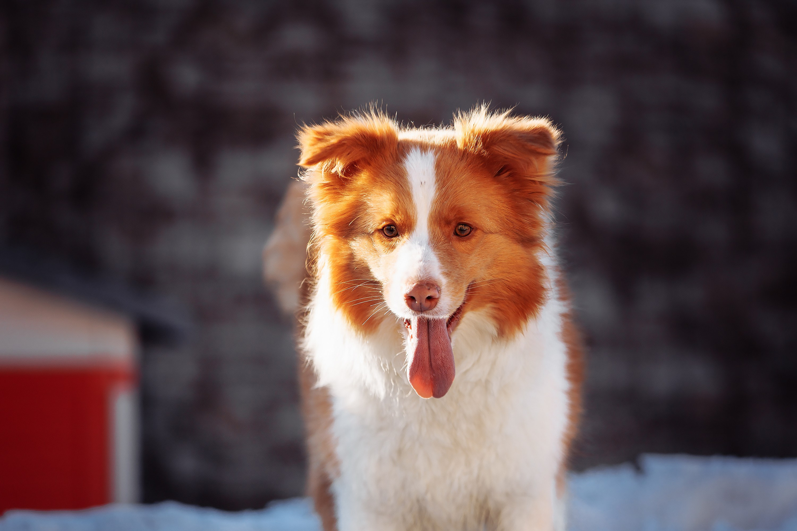 Пока таяло. О нас