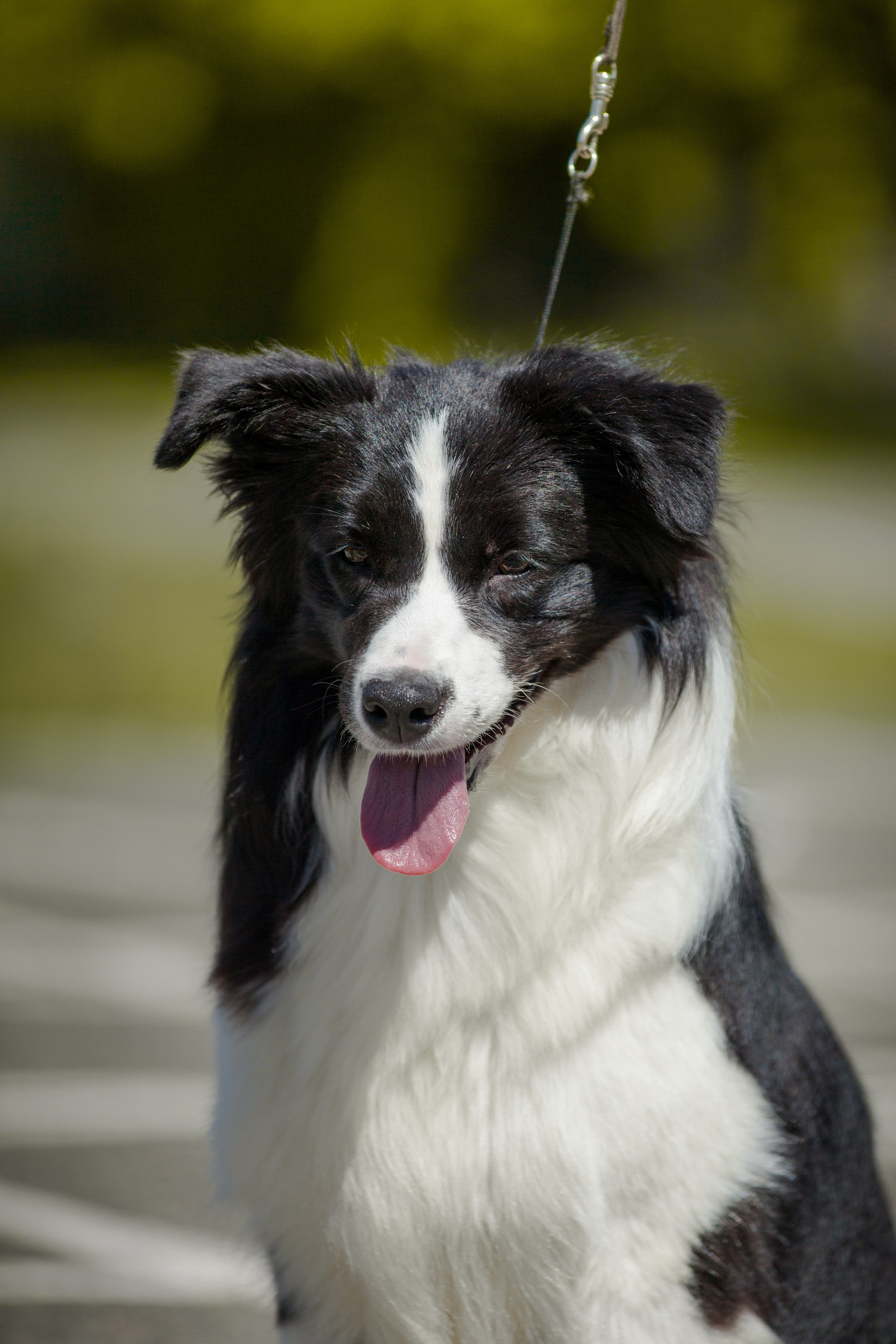 Зеленое в Оренбурге 19. О нас