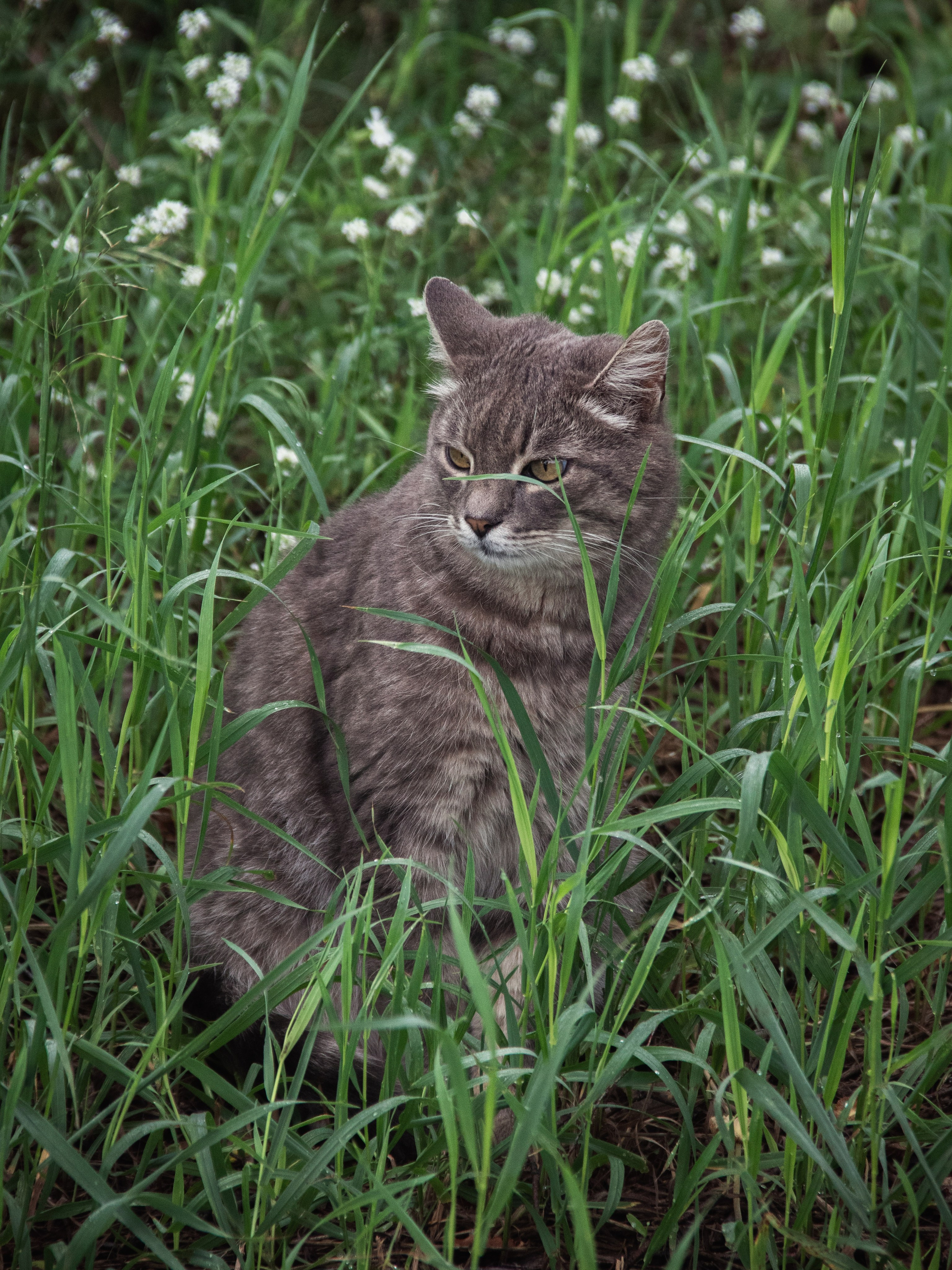 Уличные модели. С любовью, фотохудожник
