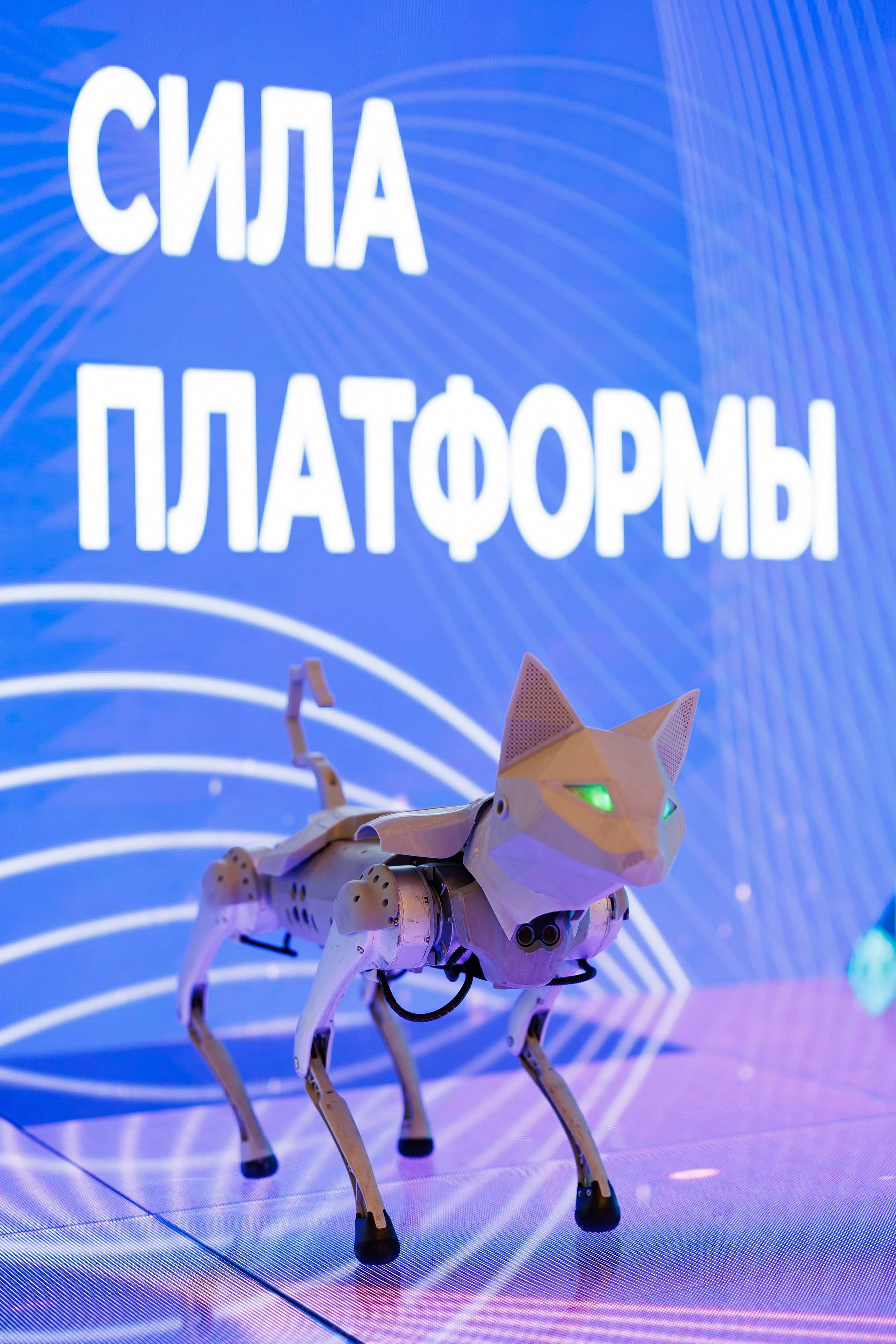 Сила Платформы. Репортажный фотограф в Москве Евгений Новиков