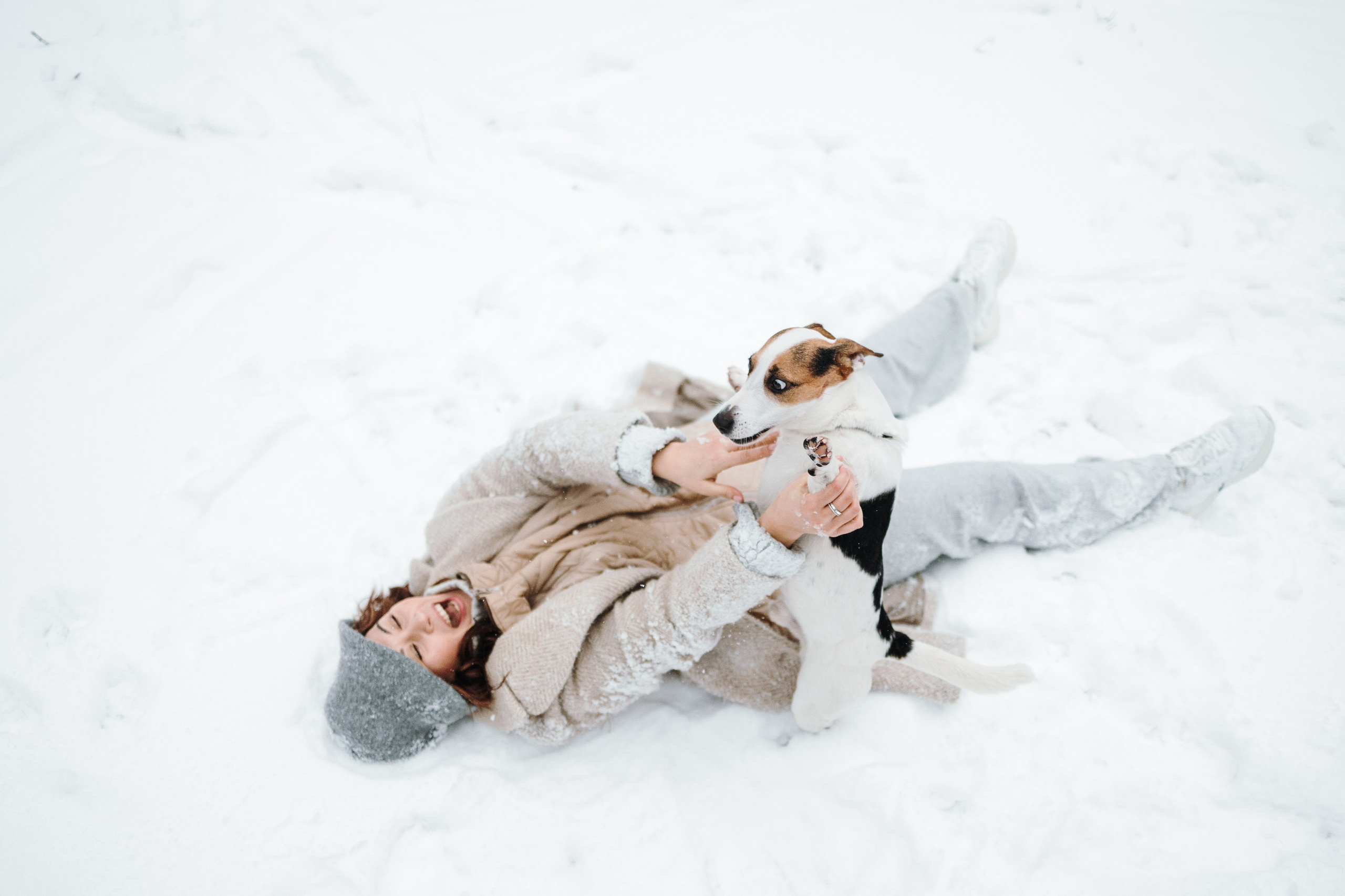 Мики и его семья. Фотограф — Анималист | Санкт-Петербург