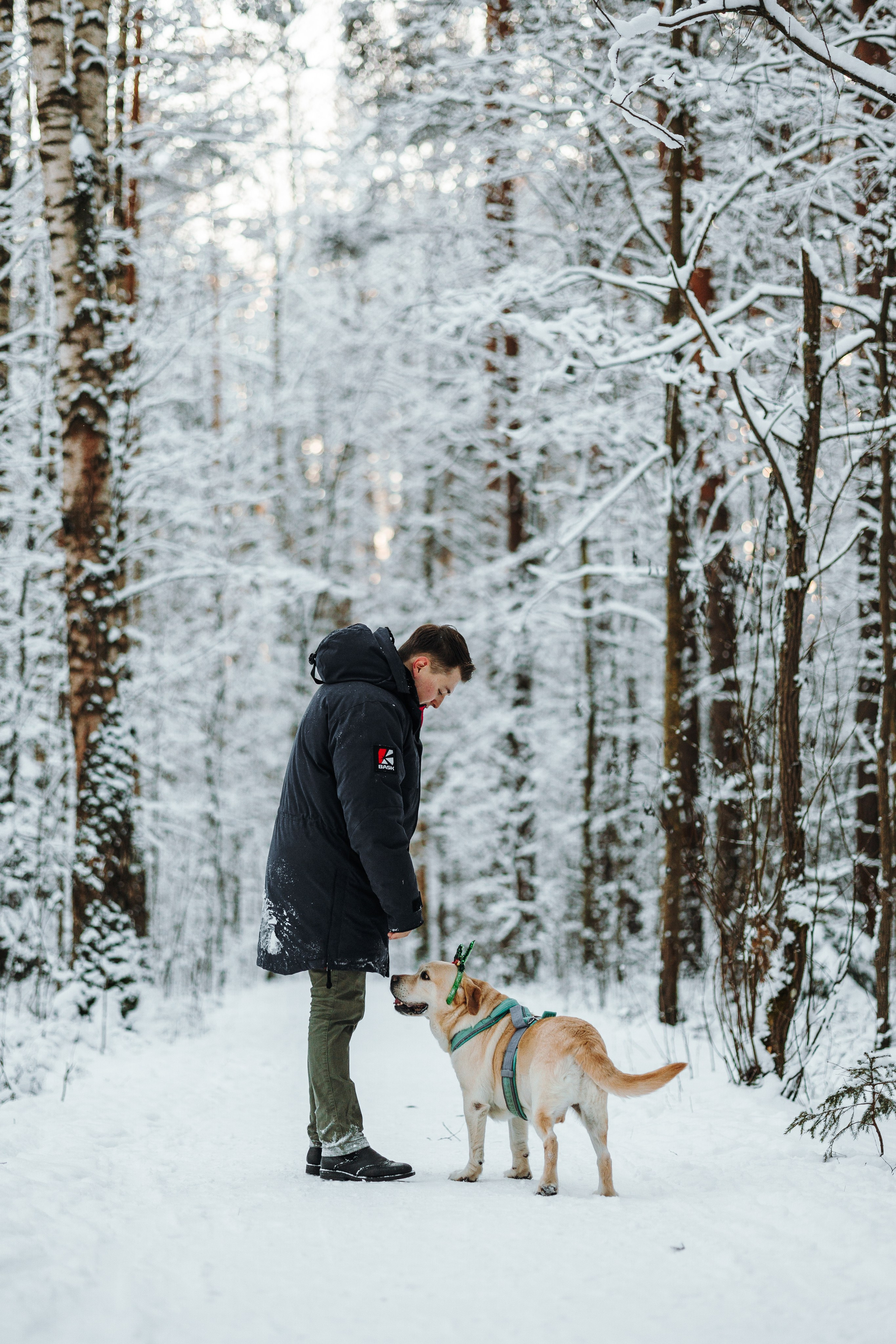 Ребята и их хвостатая семейка. Фотограф — Анималист | Санкт-Петербург