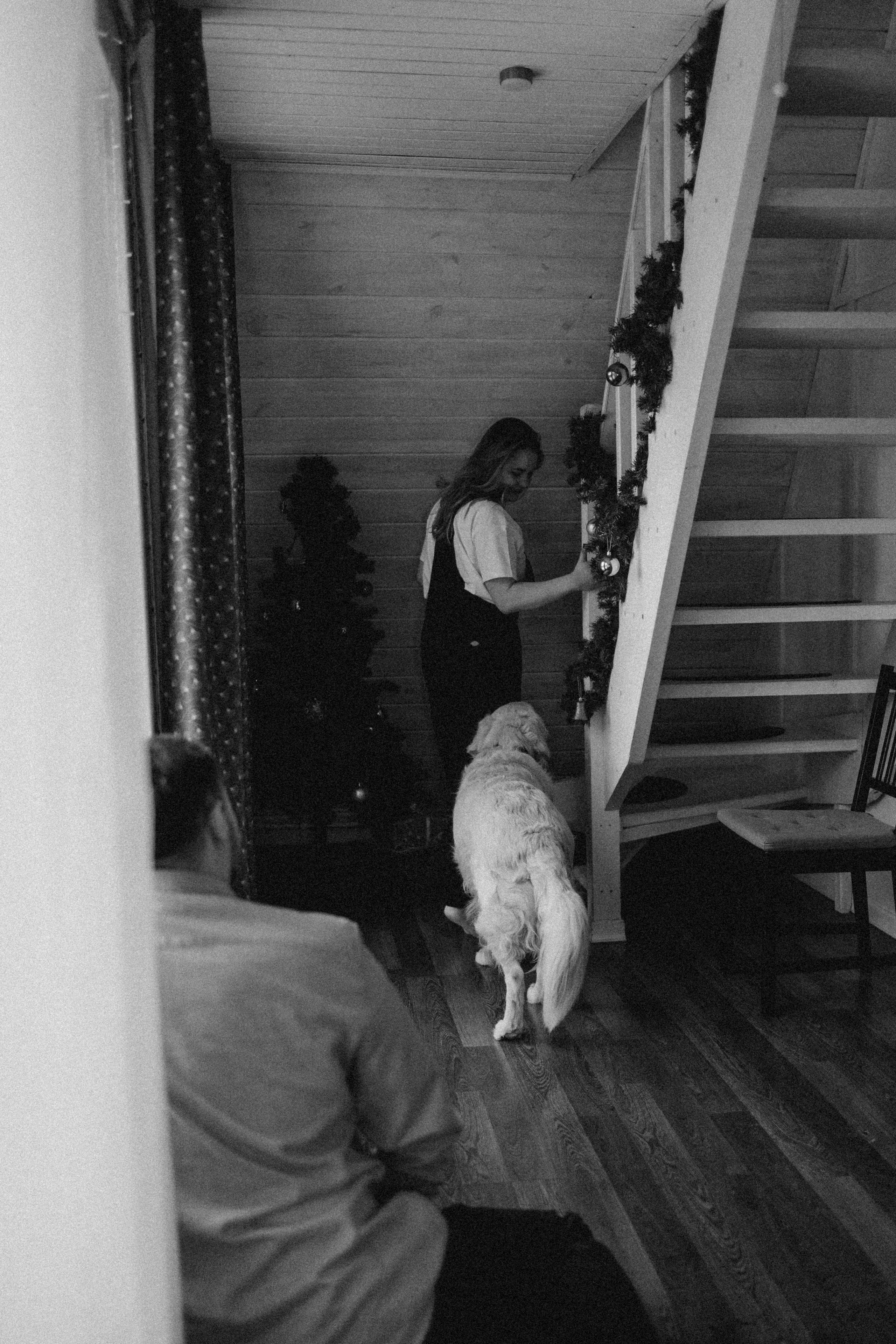 Оливер и его семья. Фотограф — Анималист | Санкт-Петербург