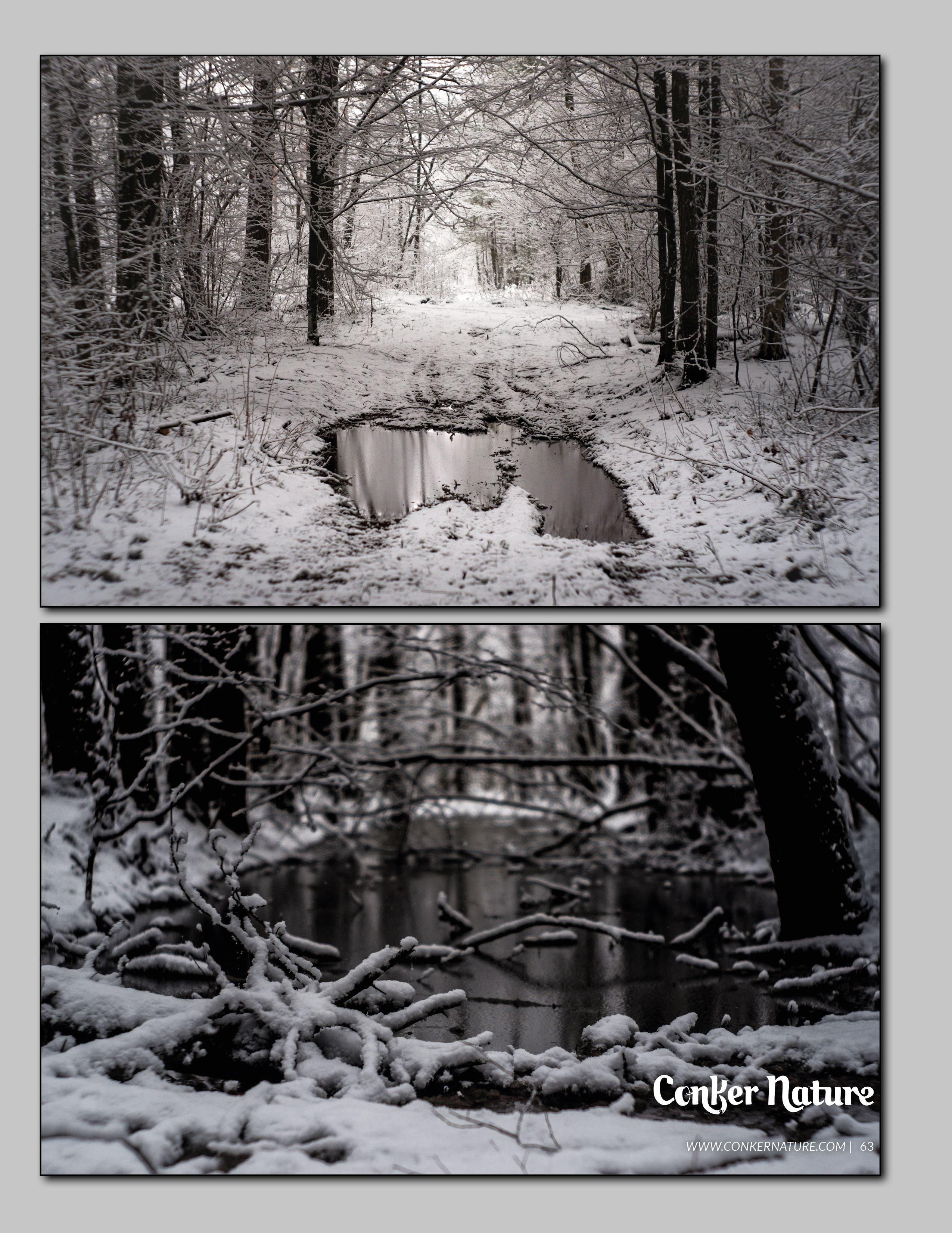 My publications in printed publications, magazines. Фотограф (photographer) Lischinski Vitaliy