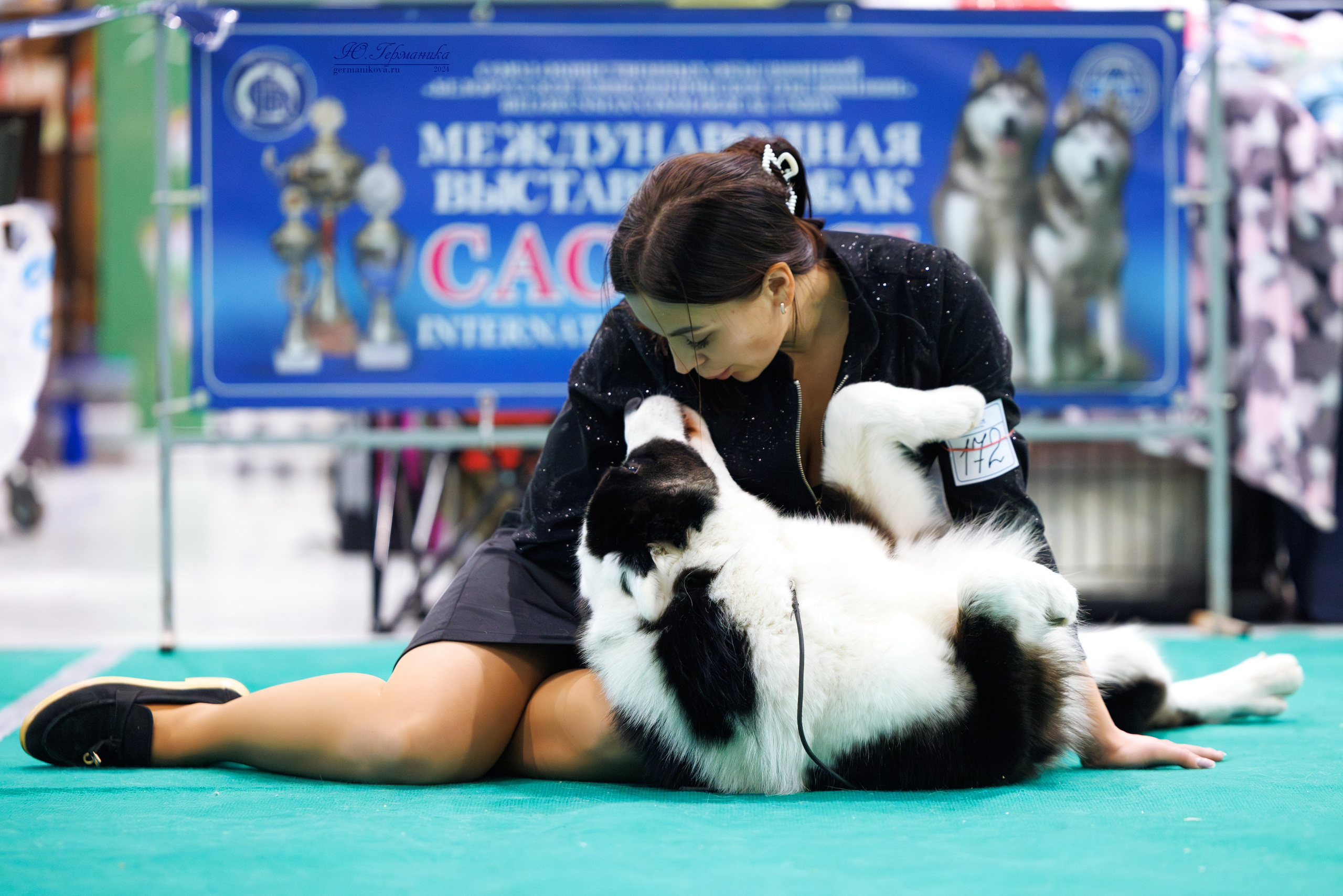 Минск 23.11.2024. Фотограф-анималист Юлия Германика