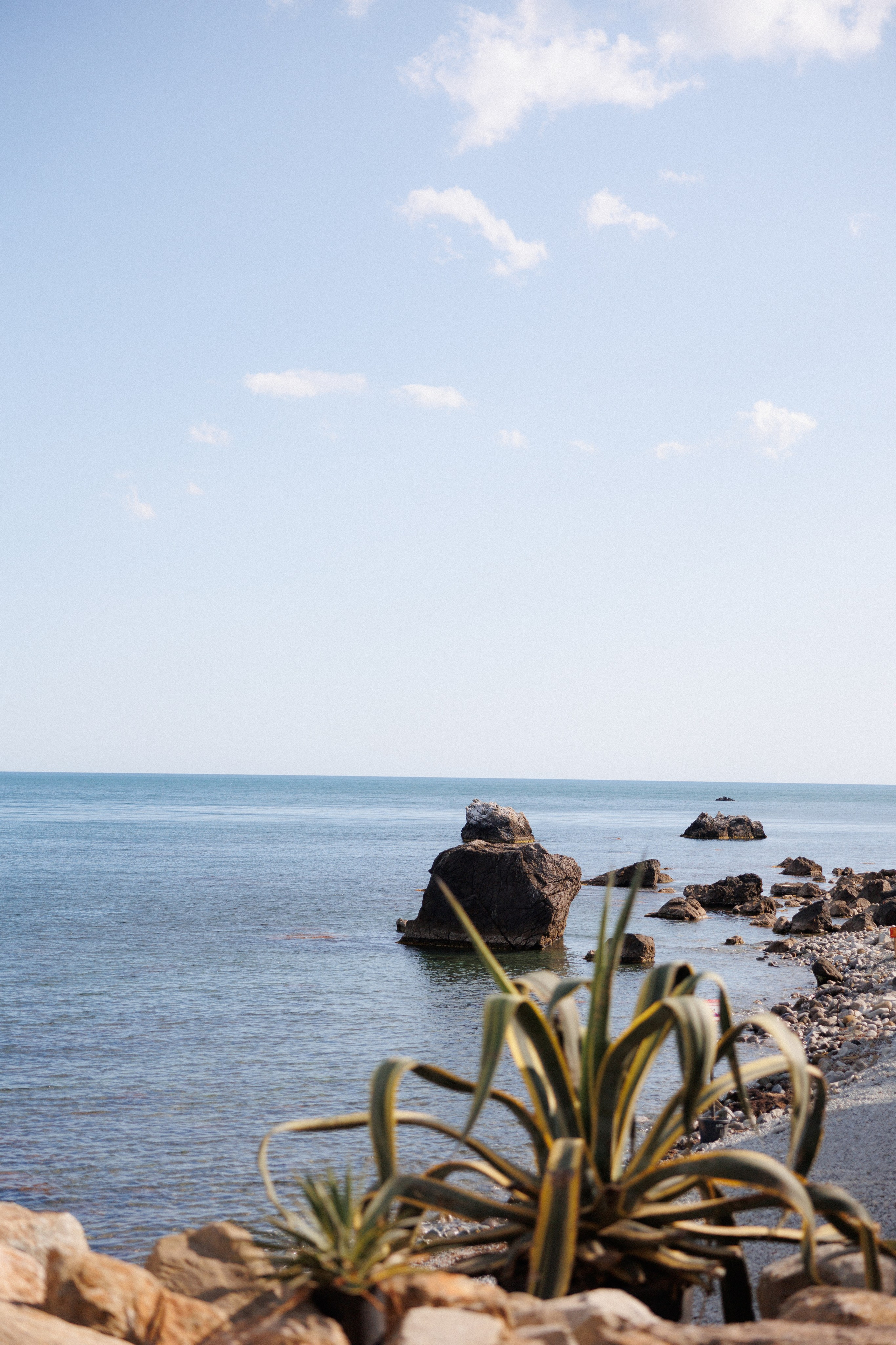 Modus Beach Club. Свадебный фотограф в Крыму