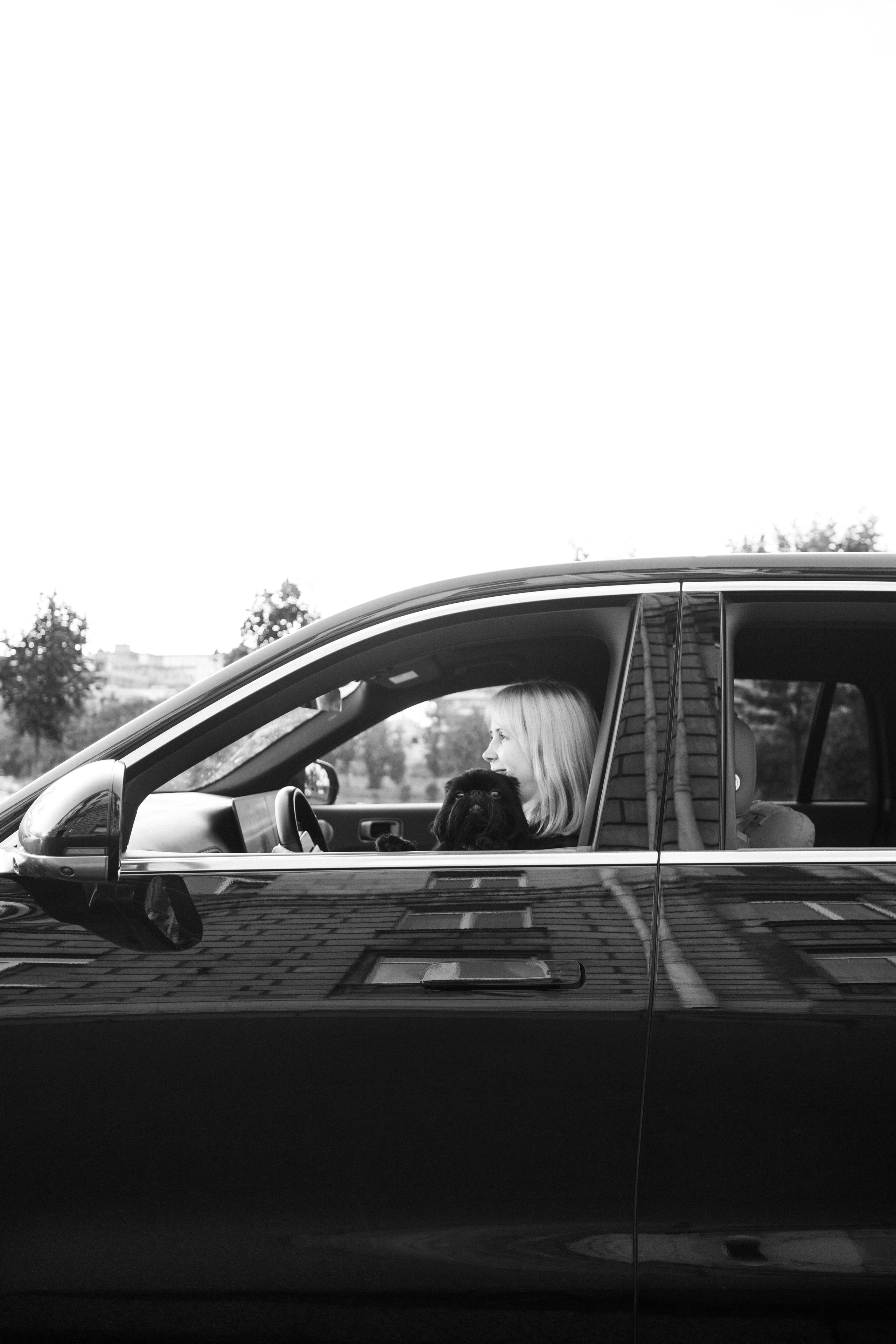 Ася и Кузя. Фотограф анималист Осипчикова Мария