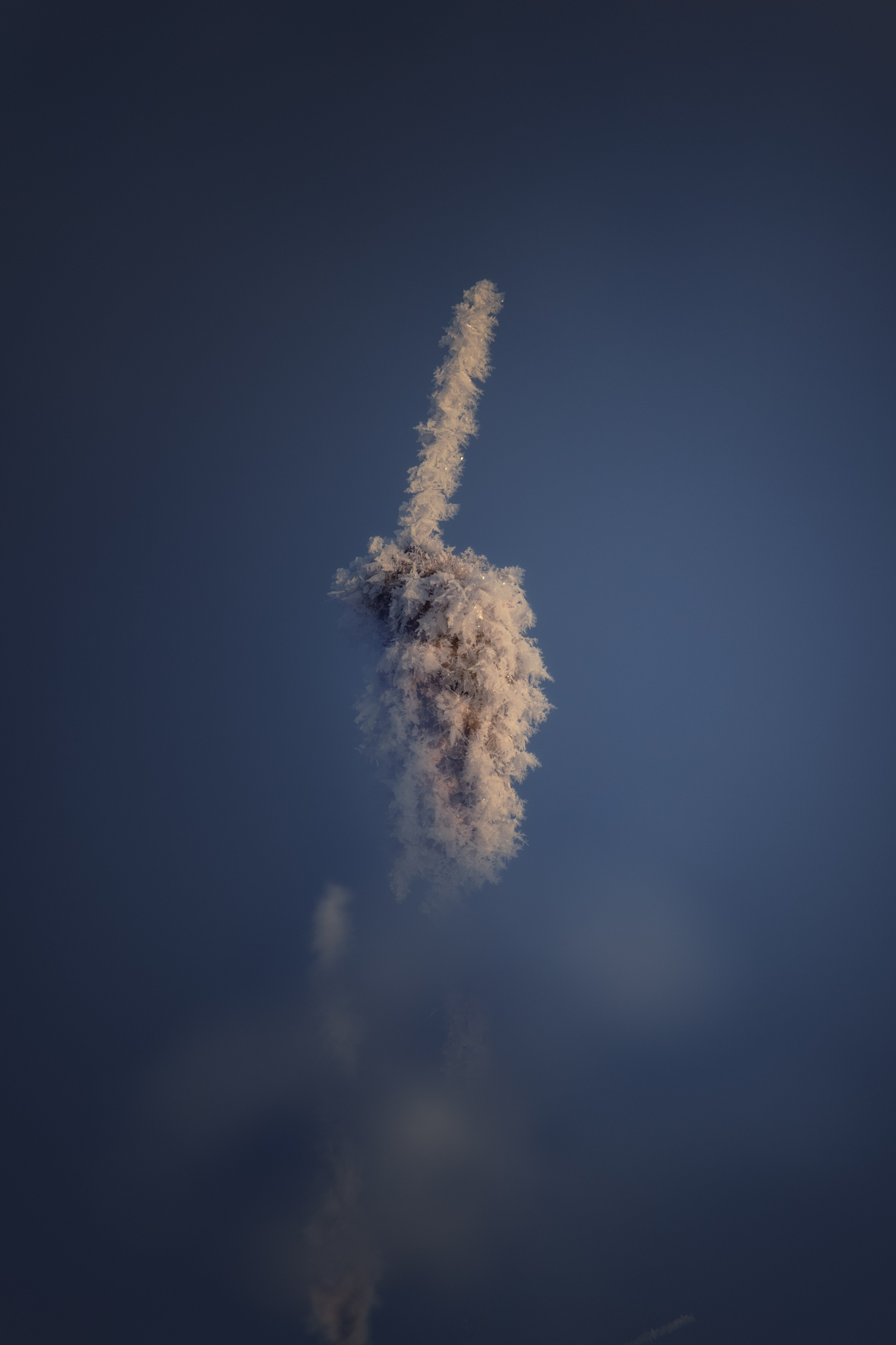 Горячка — хрустальное царство. Николай Брытков — фотограф в Туле