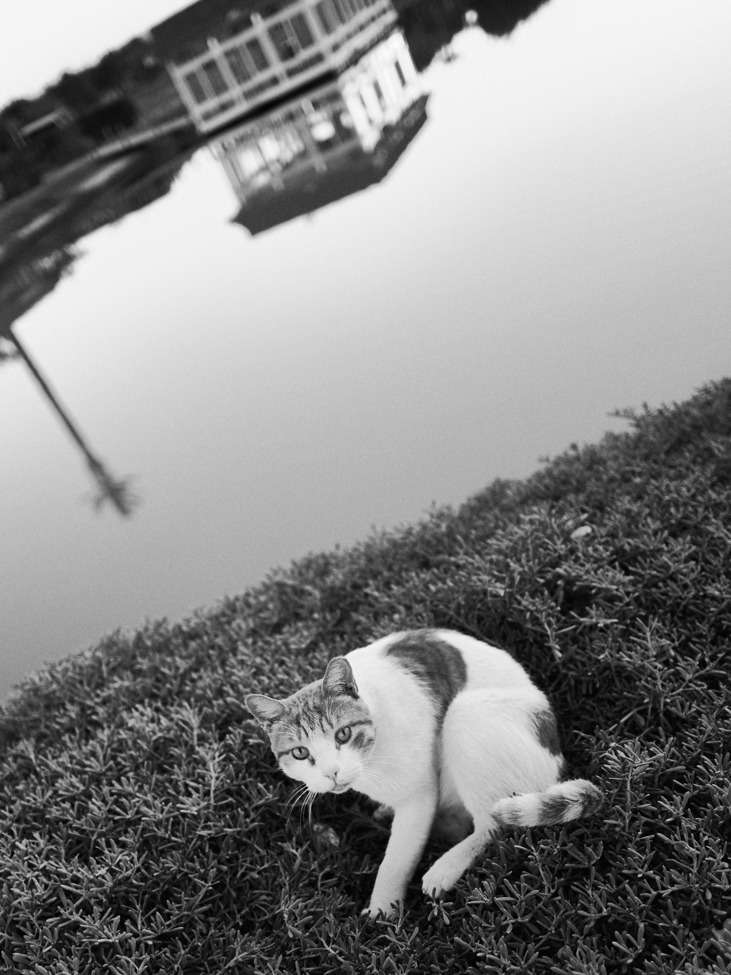 Другое 3. Jorgis Talè — photographer, kind person, teacher of arts and other mag