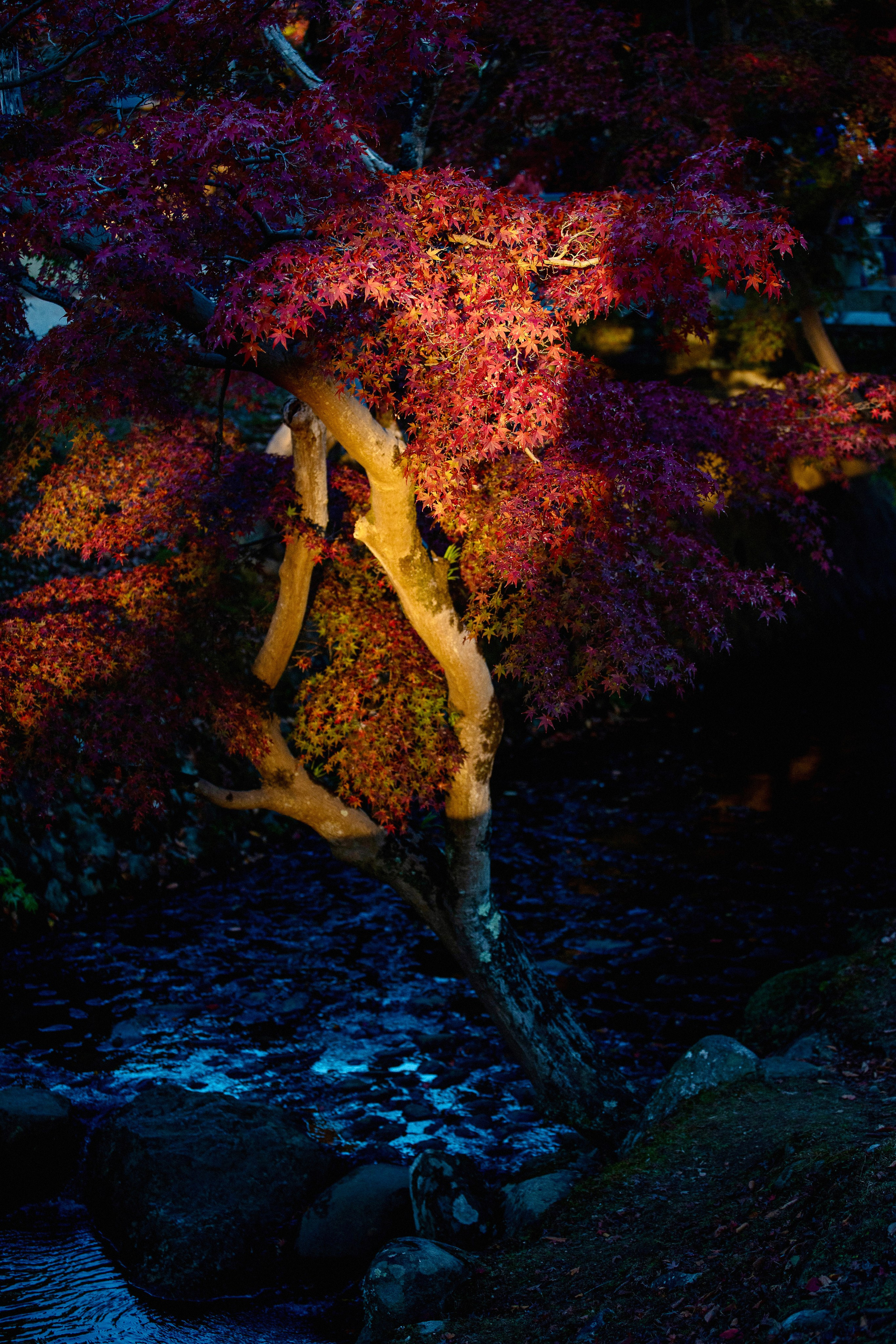 Япония. Главная