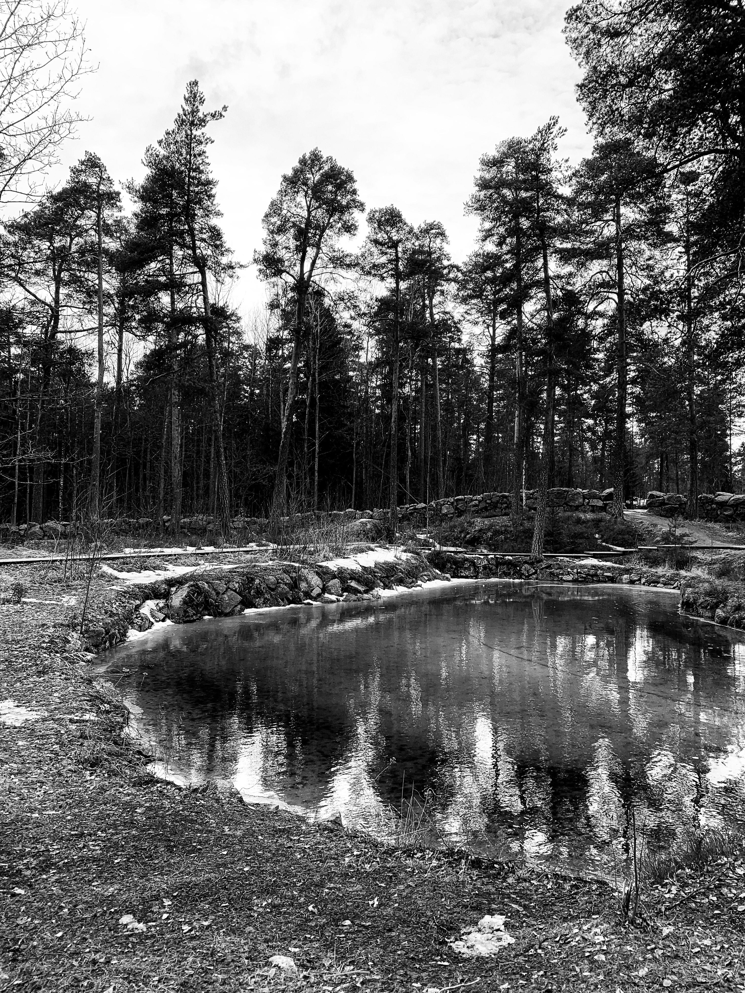 VYBORG. Свадебный фотограф в Санкт-Петербурге Илья Михеев