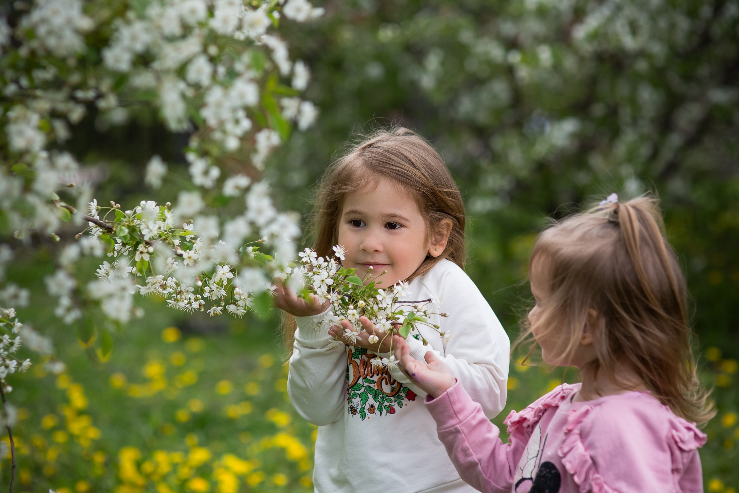 Цветущие сады. Свадебная фотосъёмка в Москве, Туле