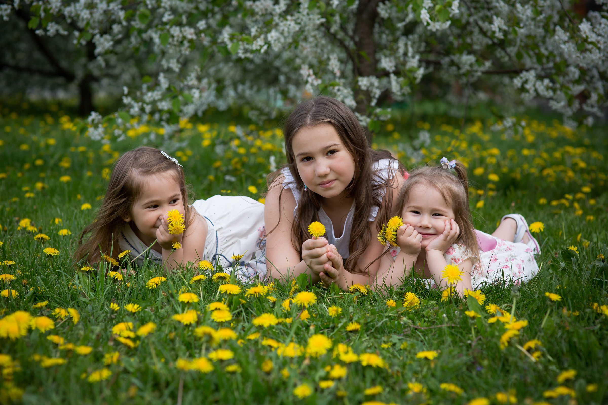 Цветущие сады. Свадебная фотосъёмка в Москве, Туле