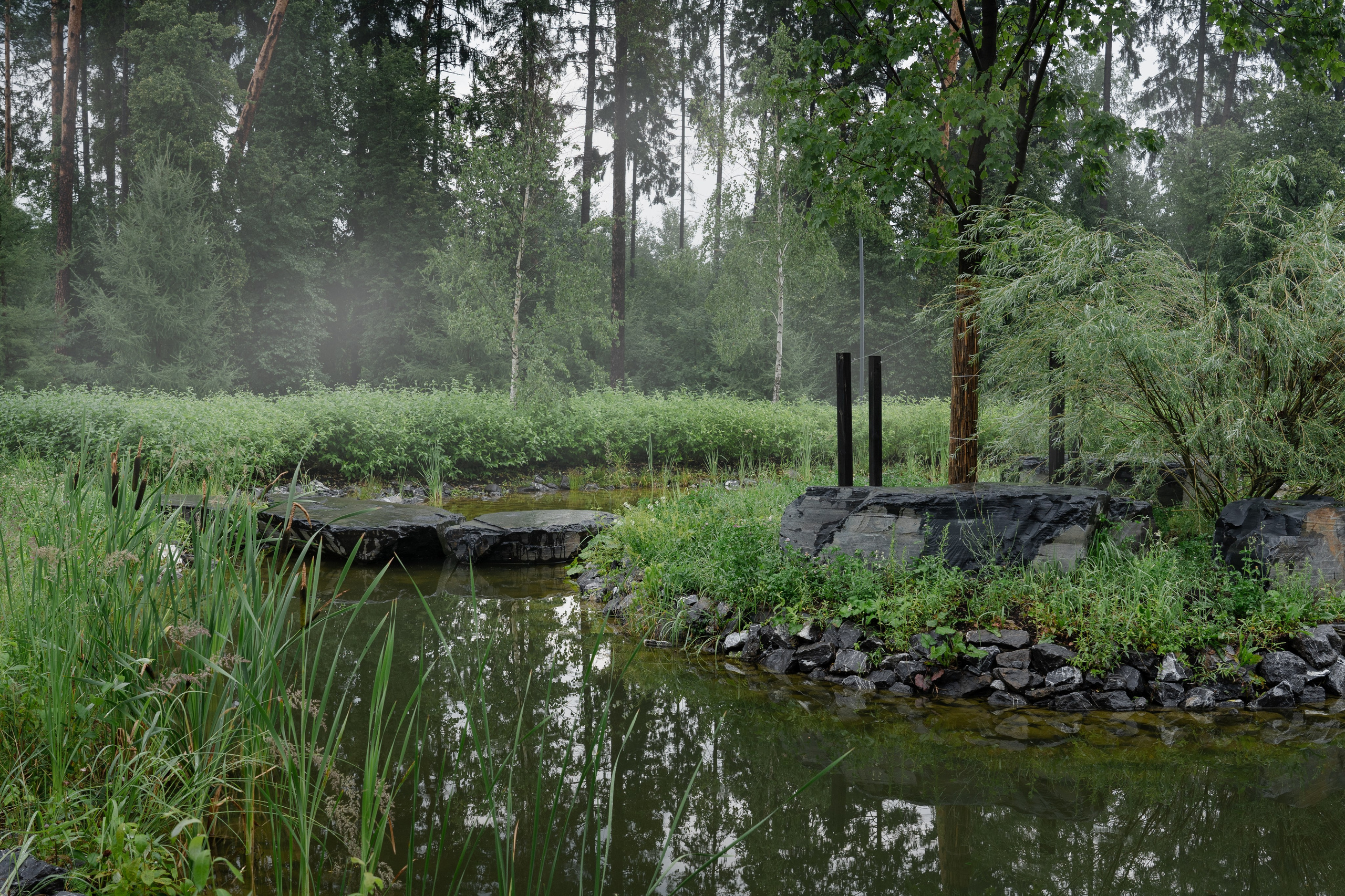 Trailway of health. Артамонов Александр | Архитектурный и ландшафтный фотограф