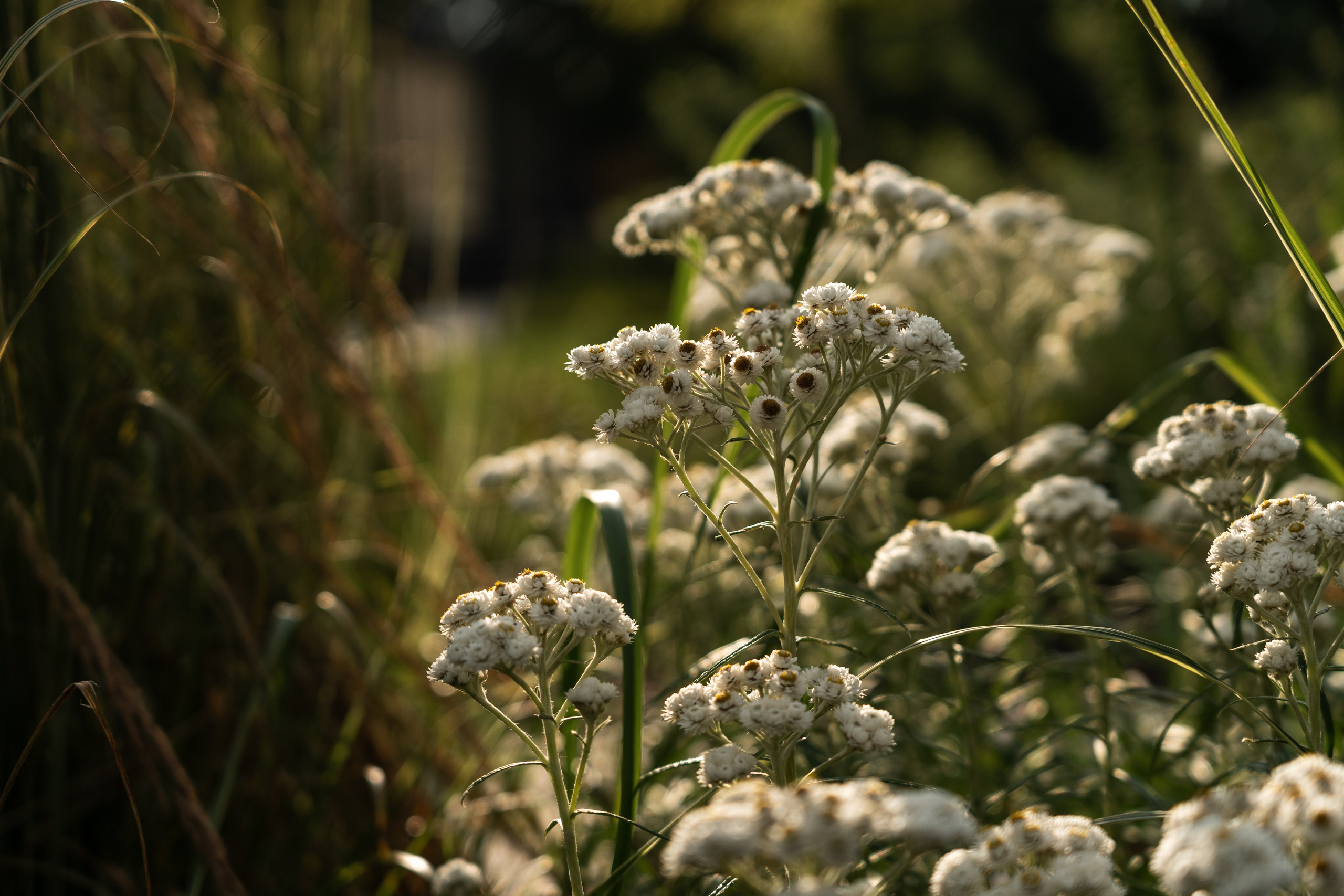 Private house, Tver region, Konakovo. Артамонов Александр | Архитектурный и ландшафтный фотограф
