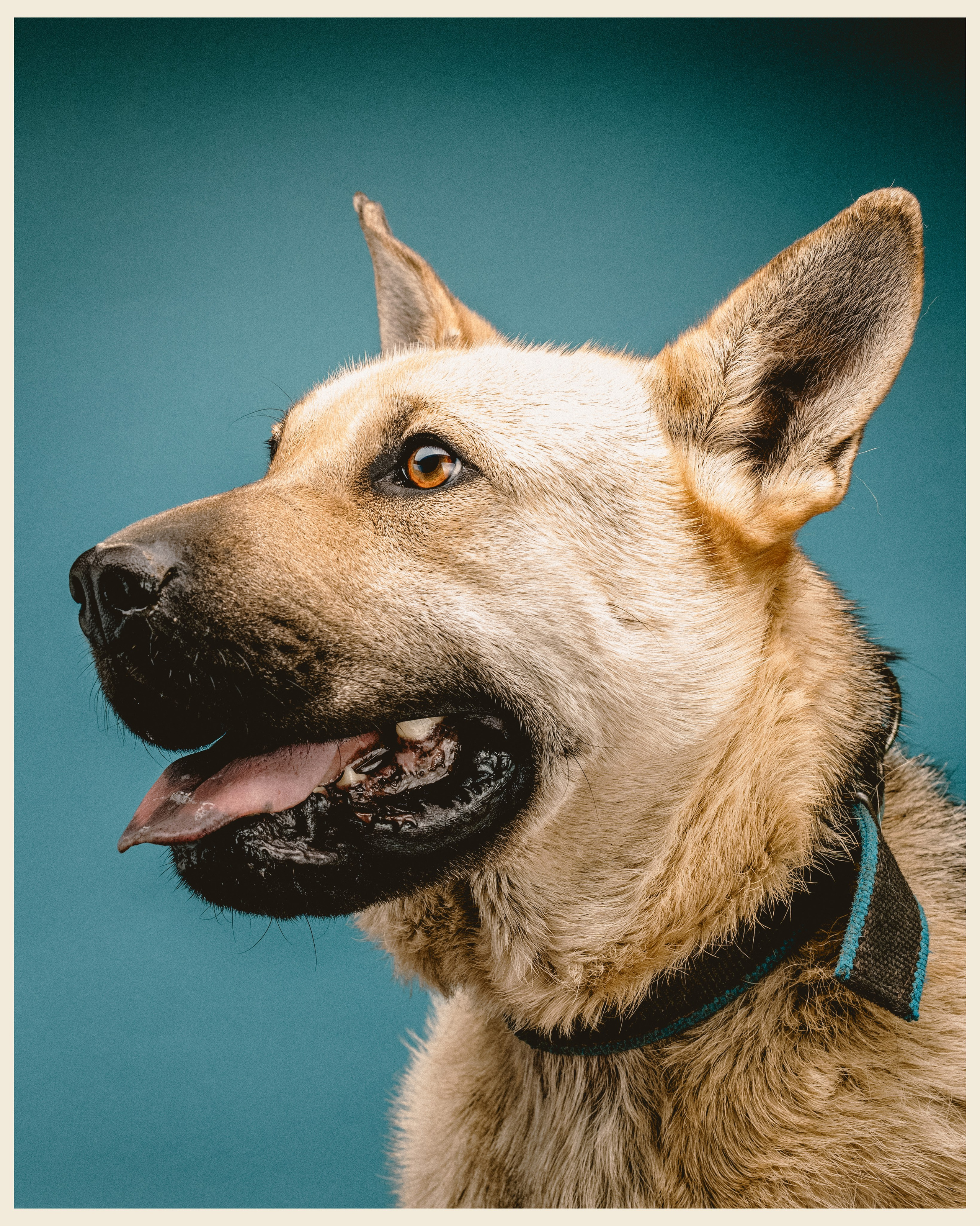 OM x VANO. Ivan Petrov photographer