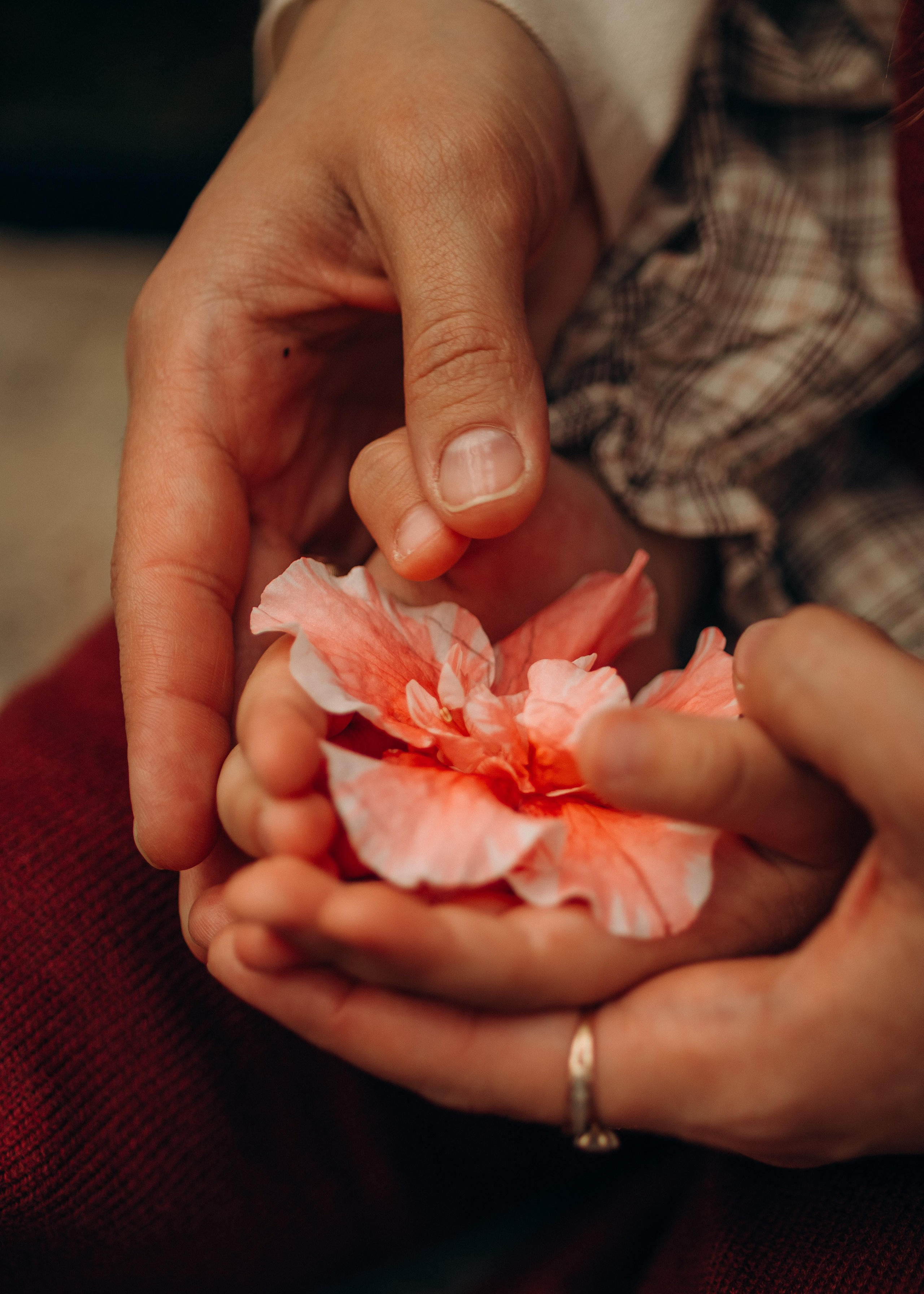 Дорина и Ева. Семейный фотограф В Москве Александра Дейкун