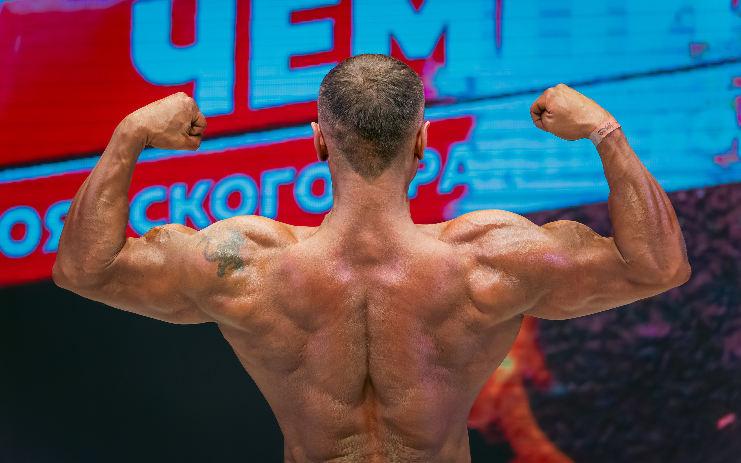 34-й Чемпионат по бодибилдингу Красноярского края. G G L V D M T R | Фотограф в Красноярске