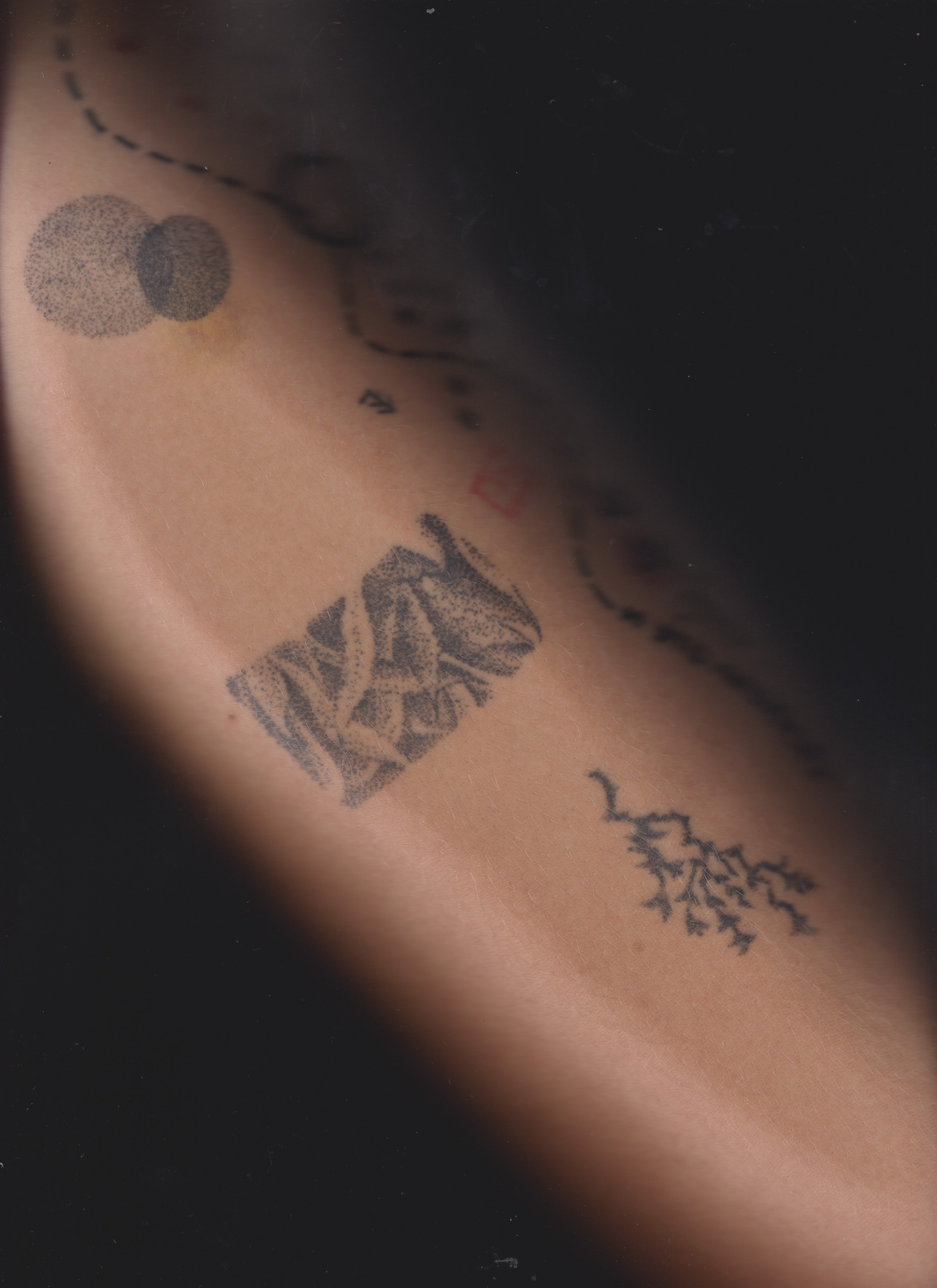 SEDIMENTS AND FOSSILS. Xexexena.ru