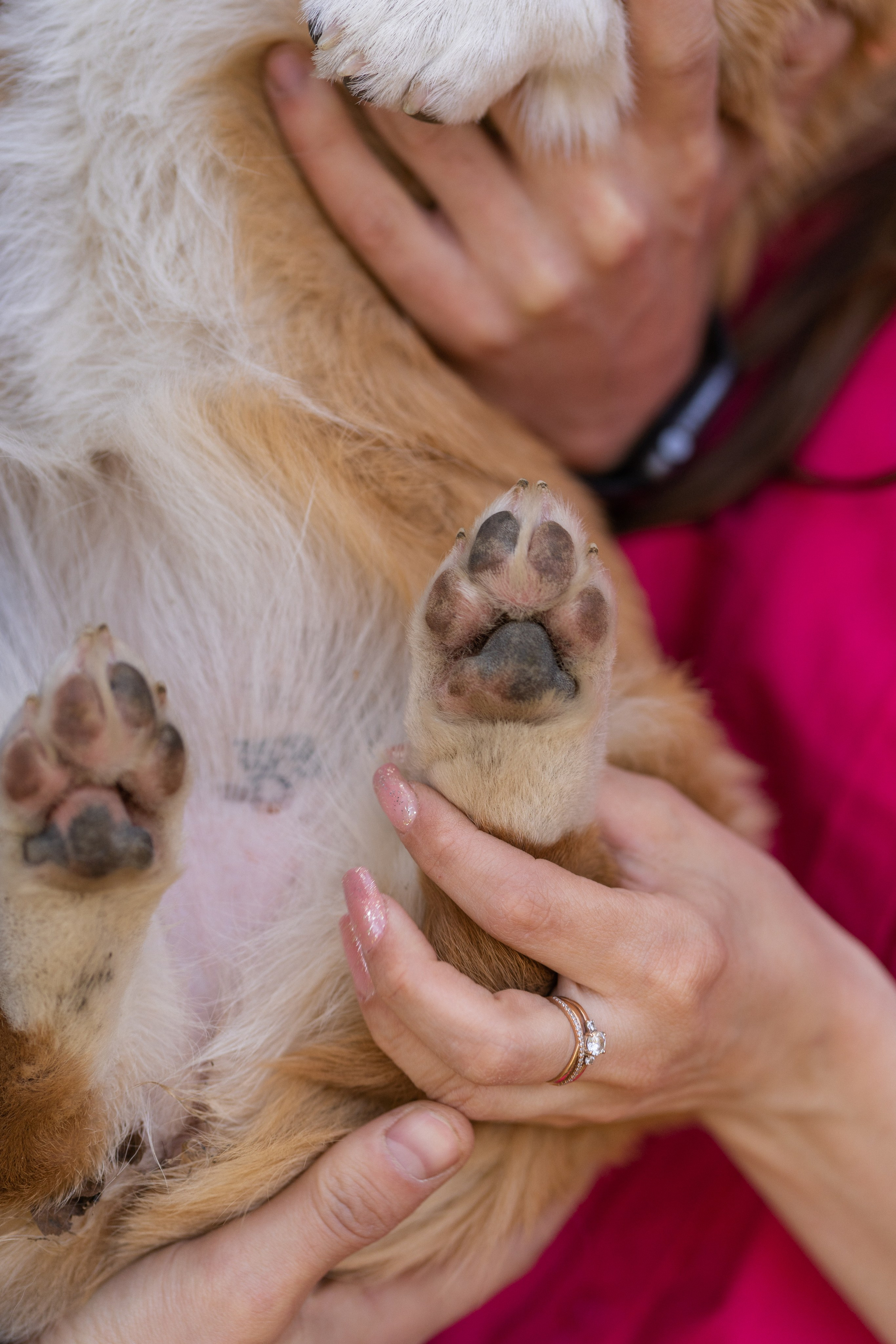 Саша, Настя, Луна. Свадебный фотограф в Москве Анна Полушина