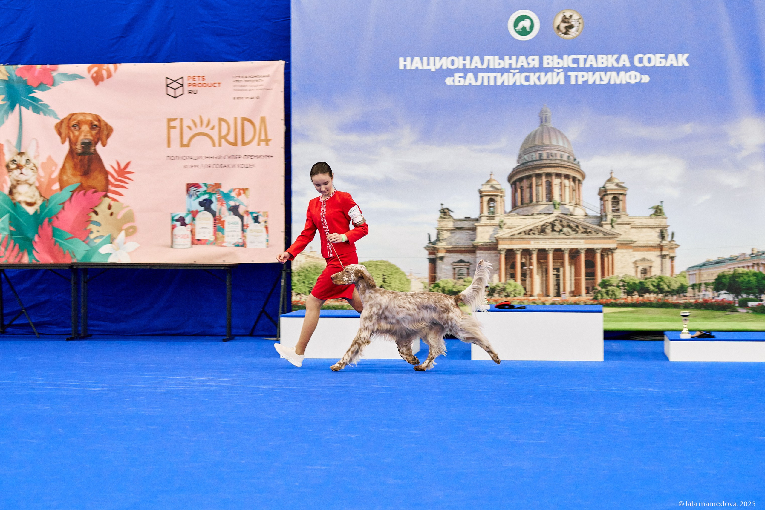 22-23 FEB 2025 | NATIONAL DOG SHOW «BALTIC TRIUMPH-2025»