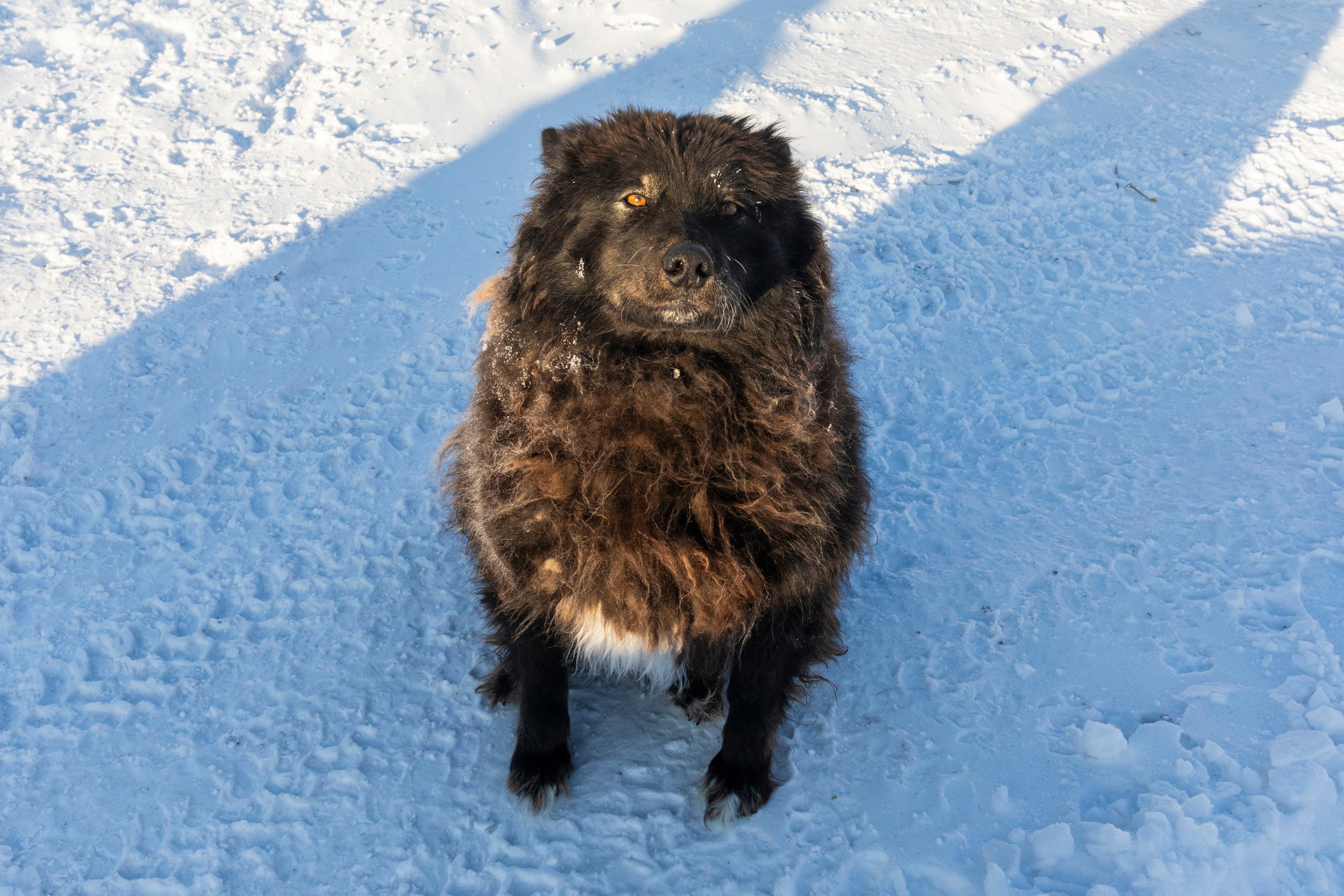 Алтай в декабре. Марина Захарова — Фотограф. Москва / Marina Zakharova — Photographer