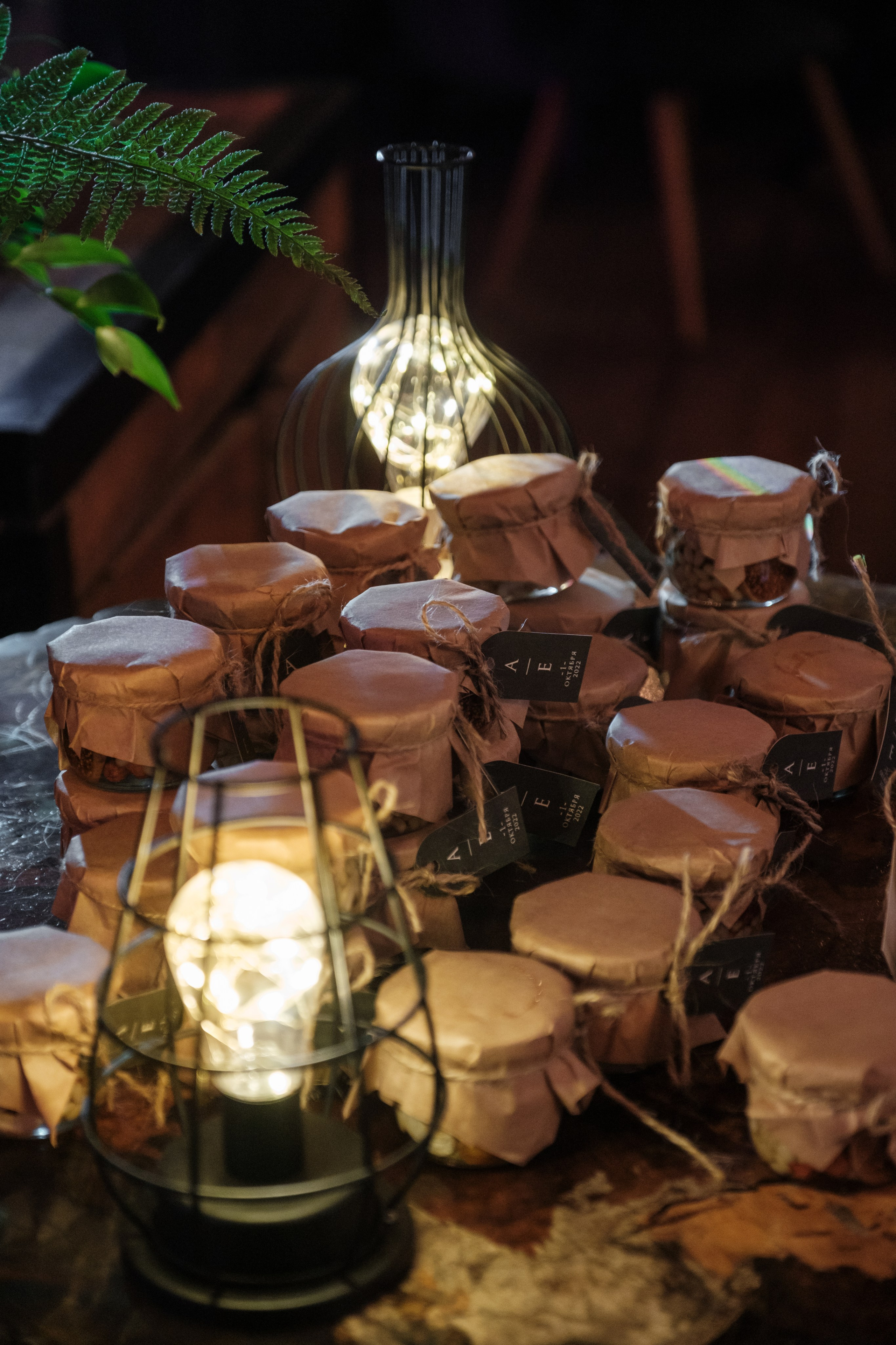 Кот и Дракон. Свадебный Видеограф Фотограф в Сочи