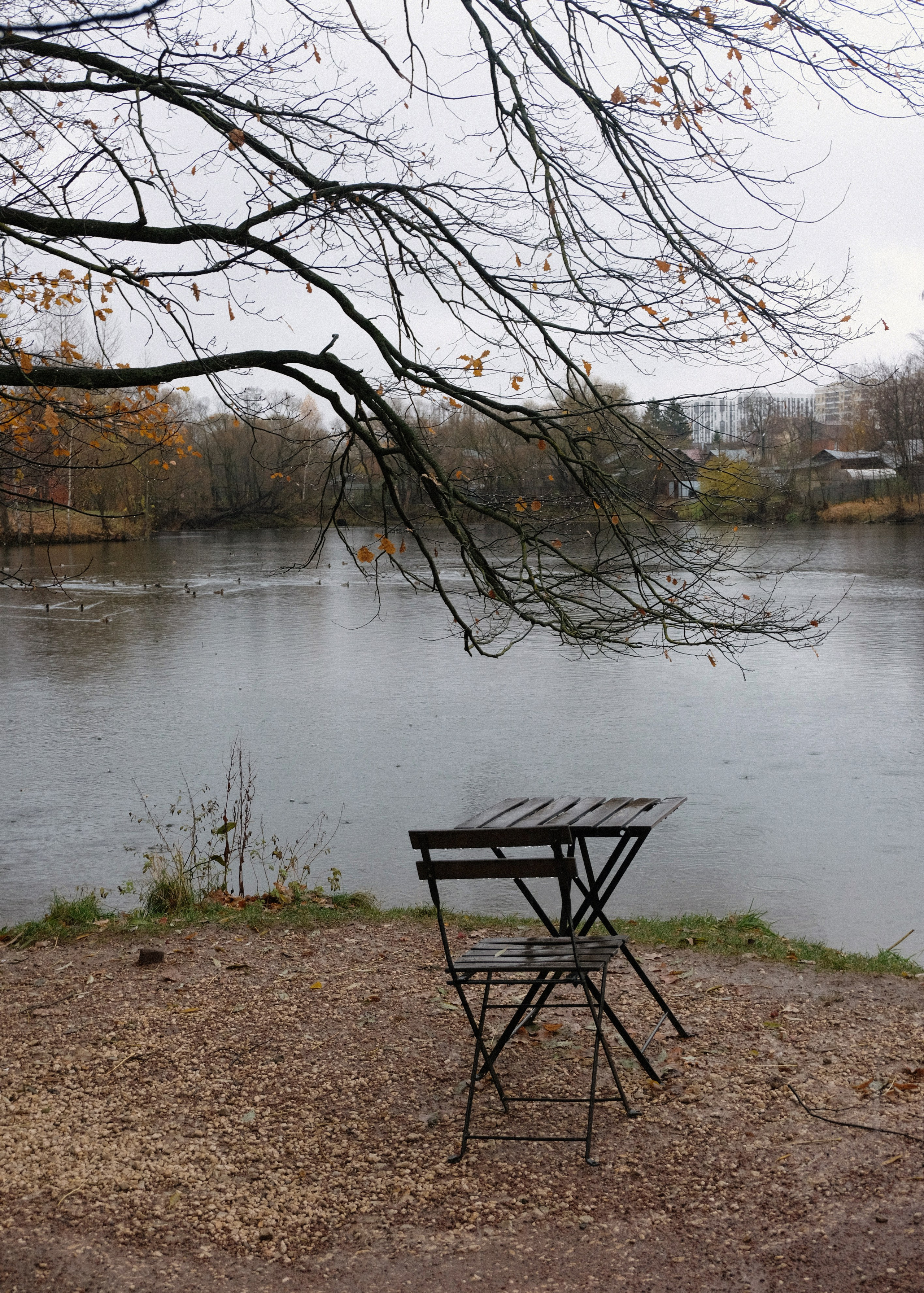 Ostafievo Estate Moscow. Интерьерный архитектурный фотограф | interior architectural photographer