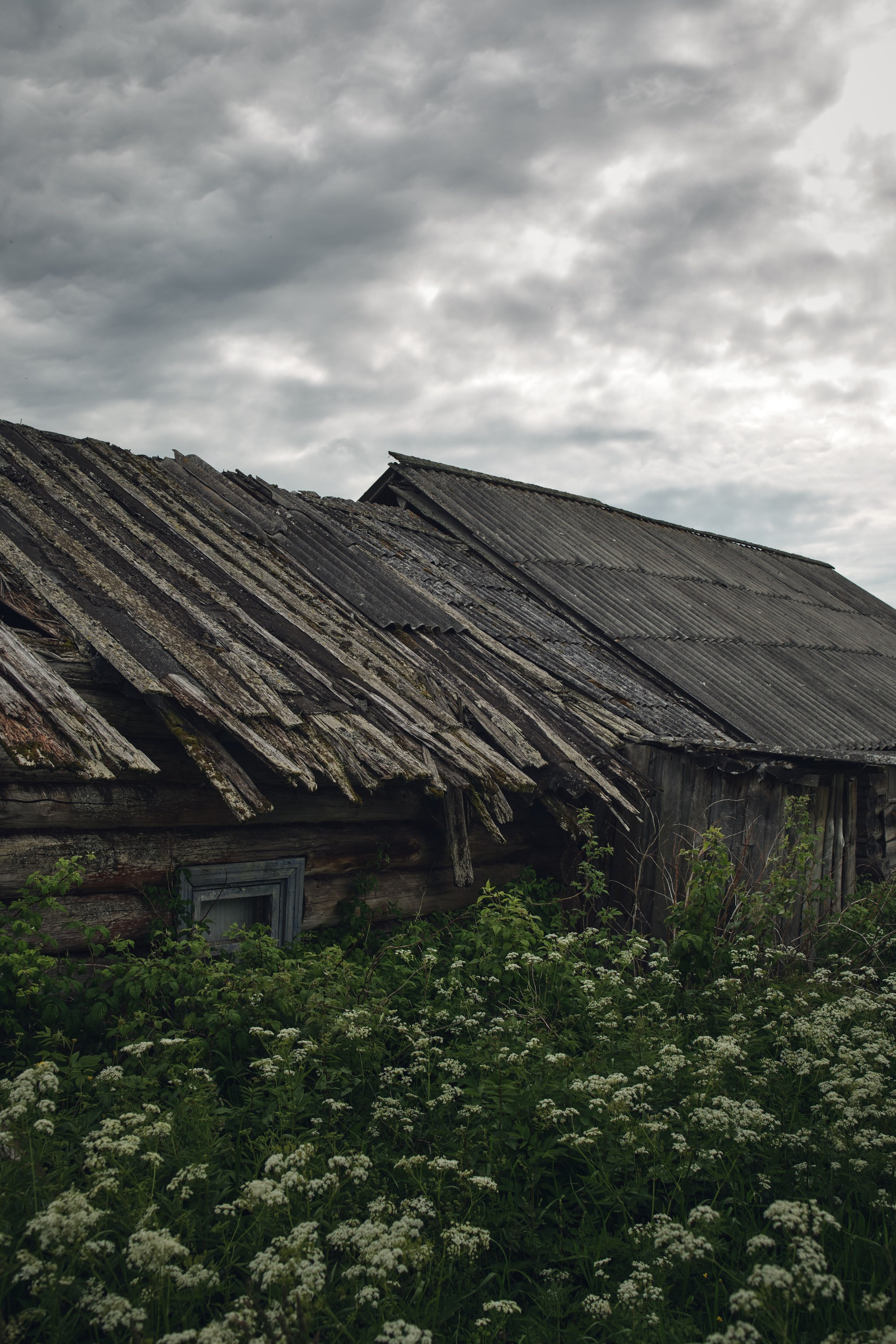 Русский север: путешествие по Карелии, Архангельской и Вологодской областям