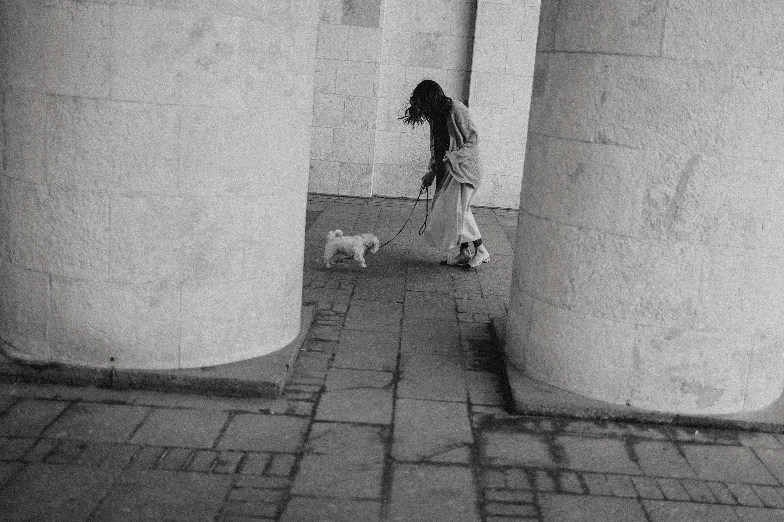 Оля и Бри. Фотораф — анималист Мария Шистка