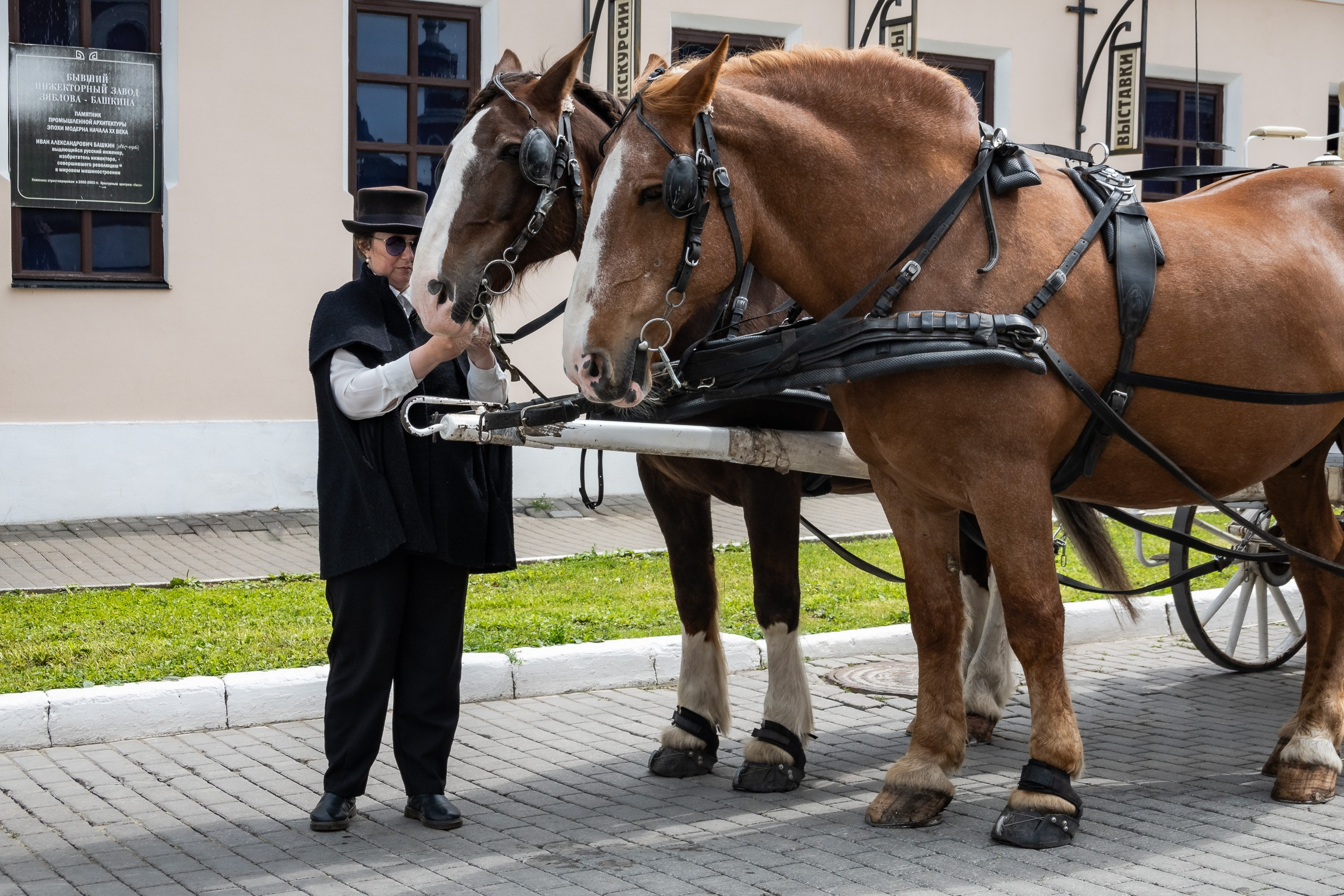 Коломенский кремль и старый город. Пейзажный фотограф Сергей Пестерев. Фото природы