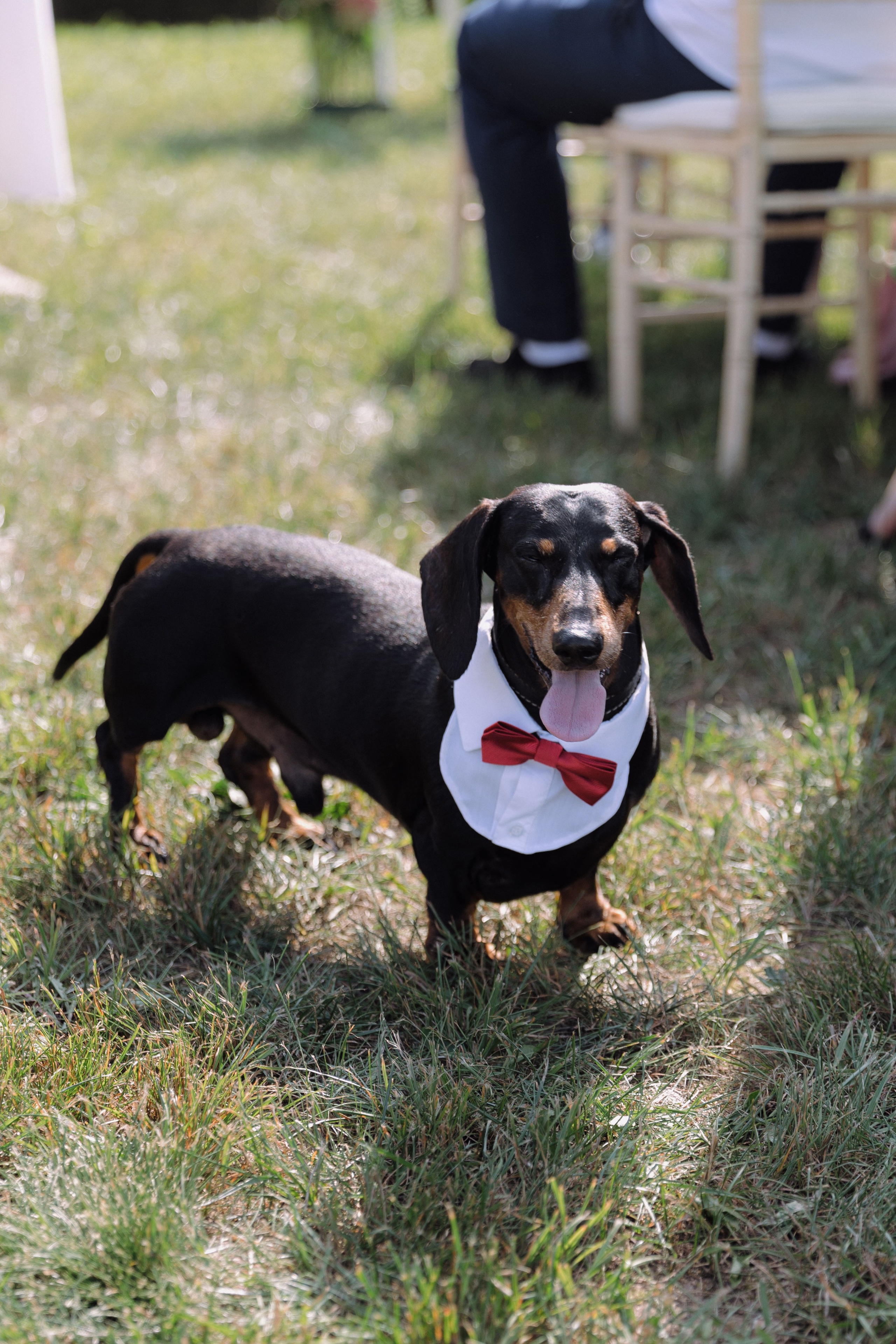 Artem & Anastasia. Главная