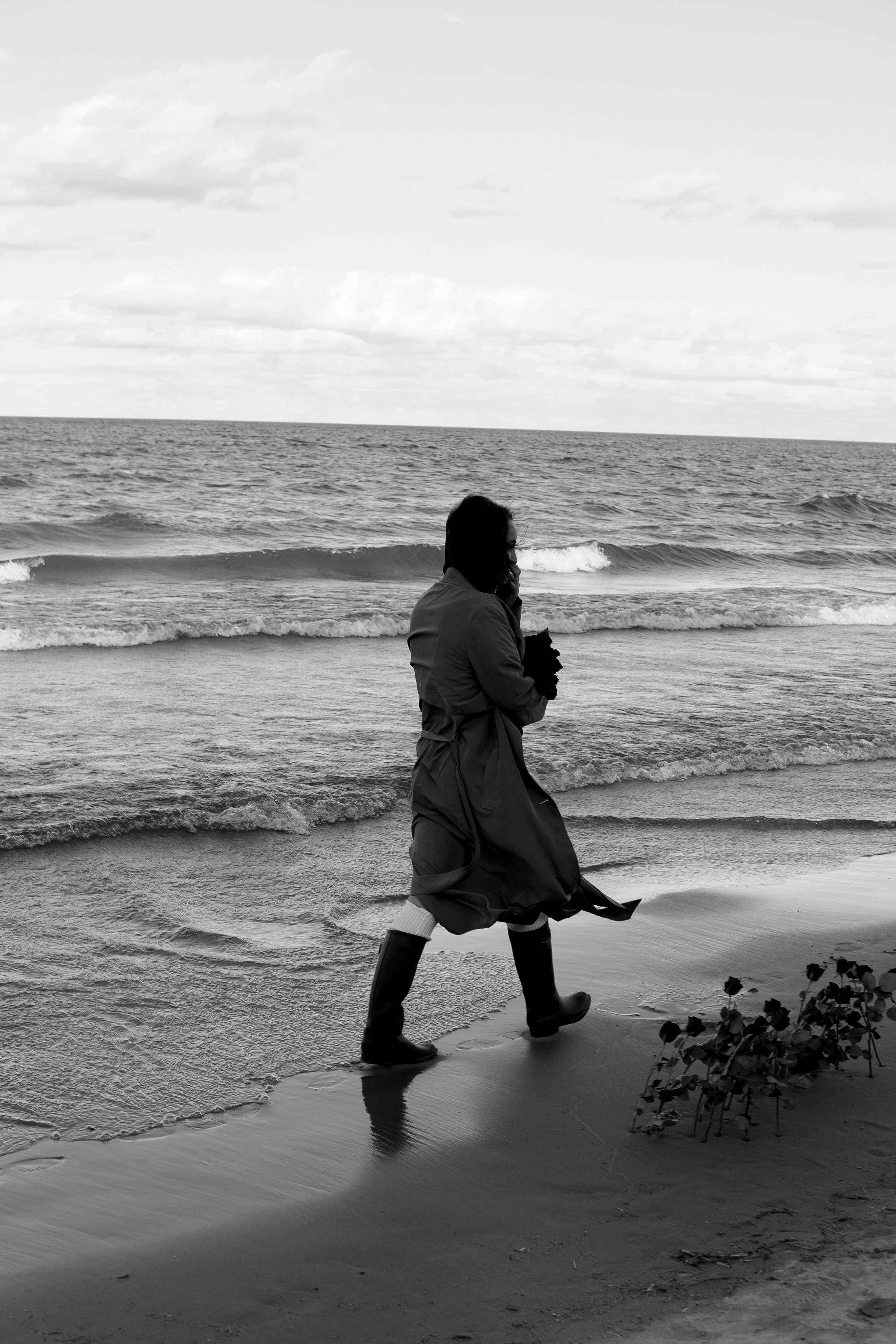 Розы. Профессиональный фотограф, Санкт-Петербург — Виктория Богомолова